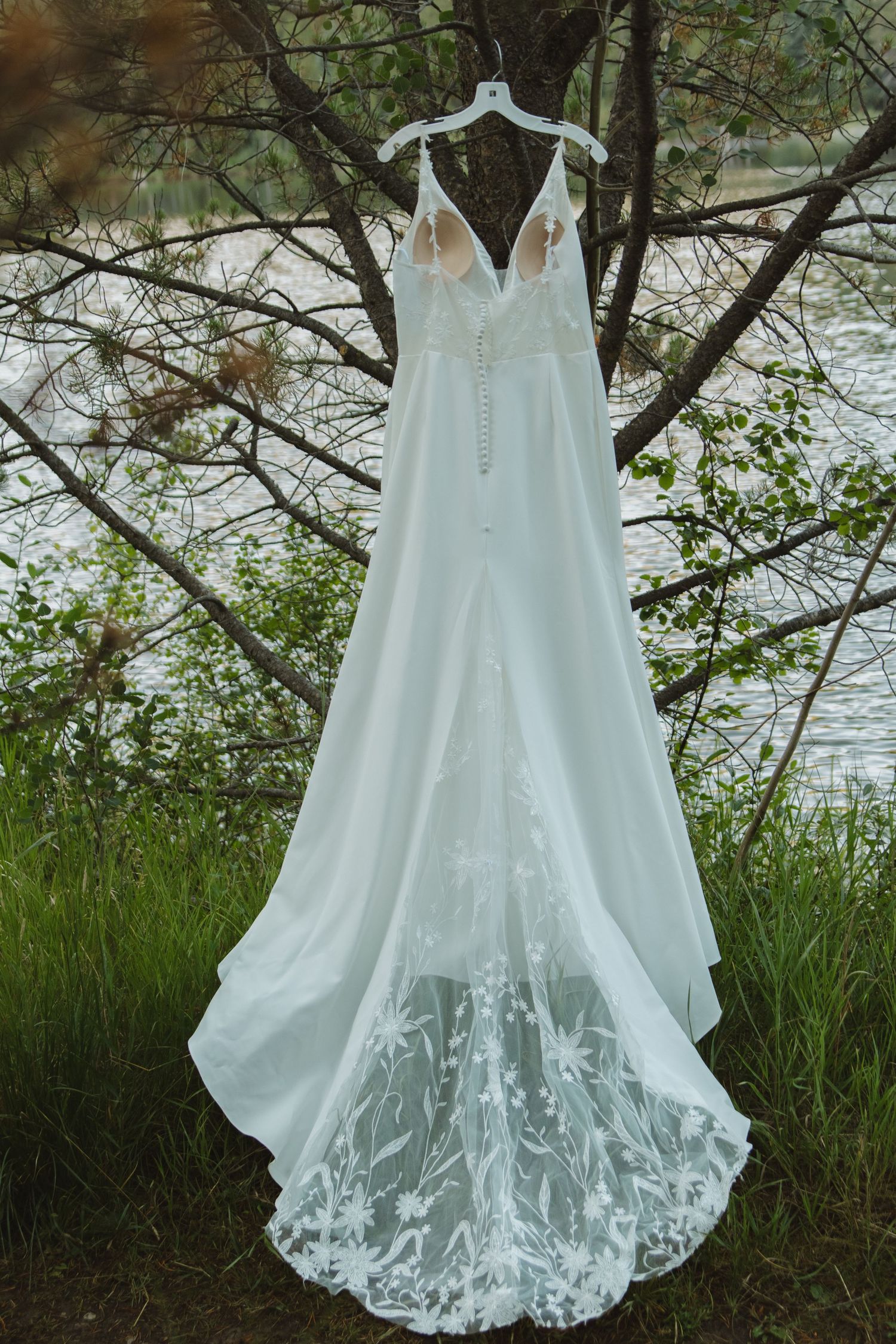 An elegant white wedding dress with lace details hangs from a tree branch near water.