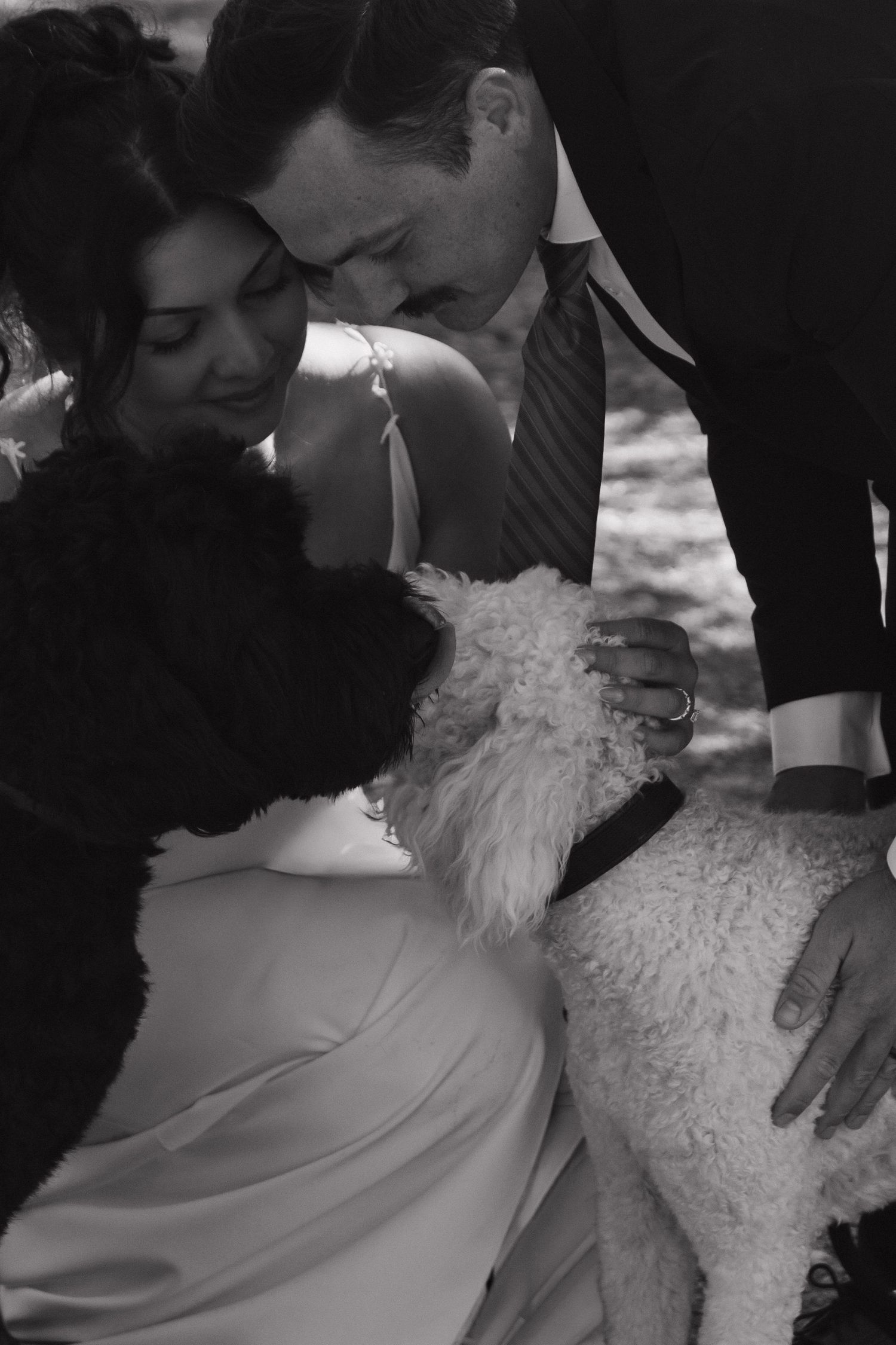 Black and white photo of couple sharing an intimate moment on their wedding day.