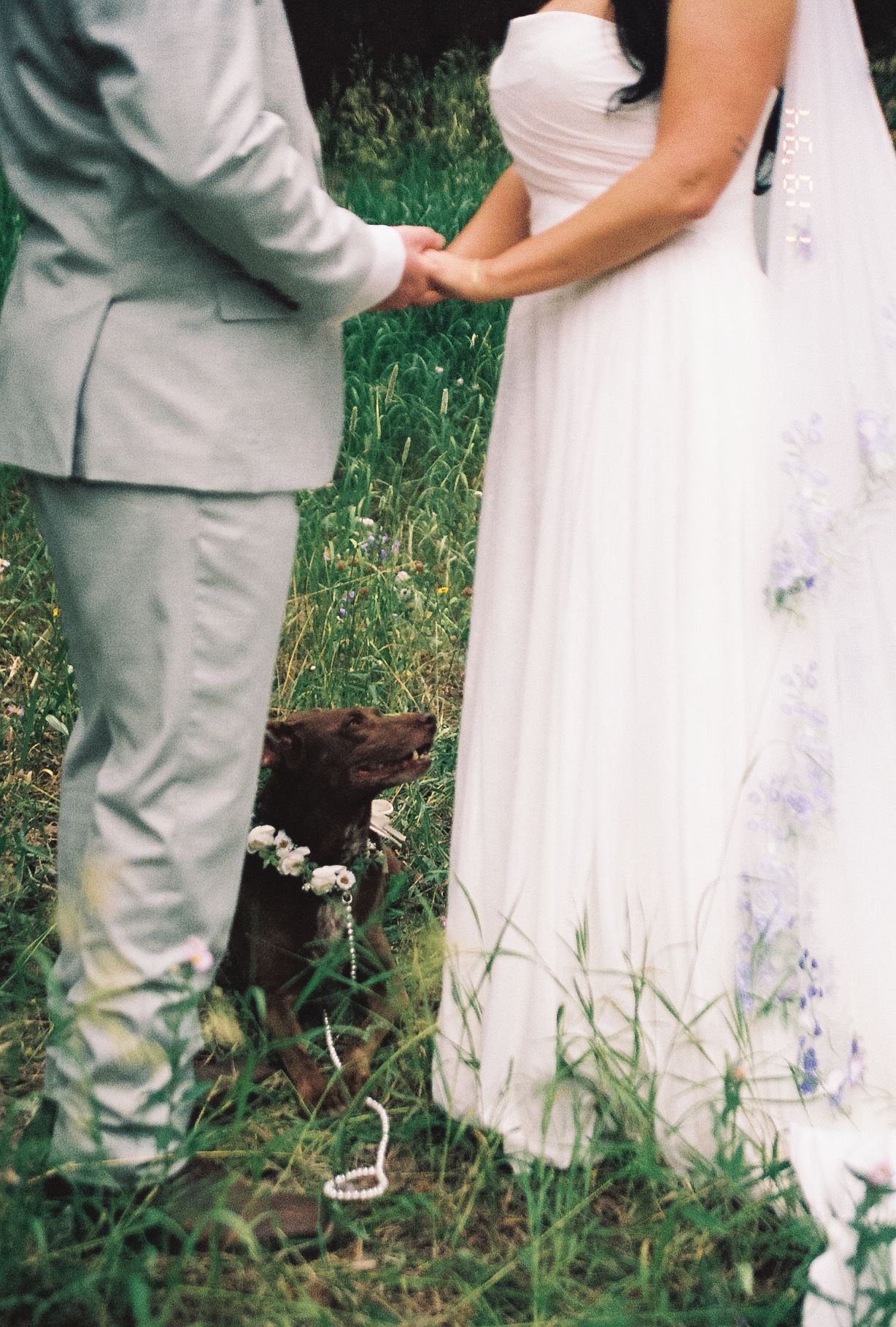 Bride and groom holding hands with flower-crowned dog sitting between them outdoors.
