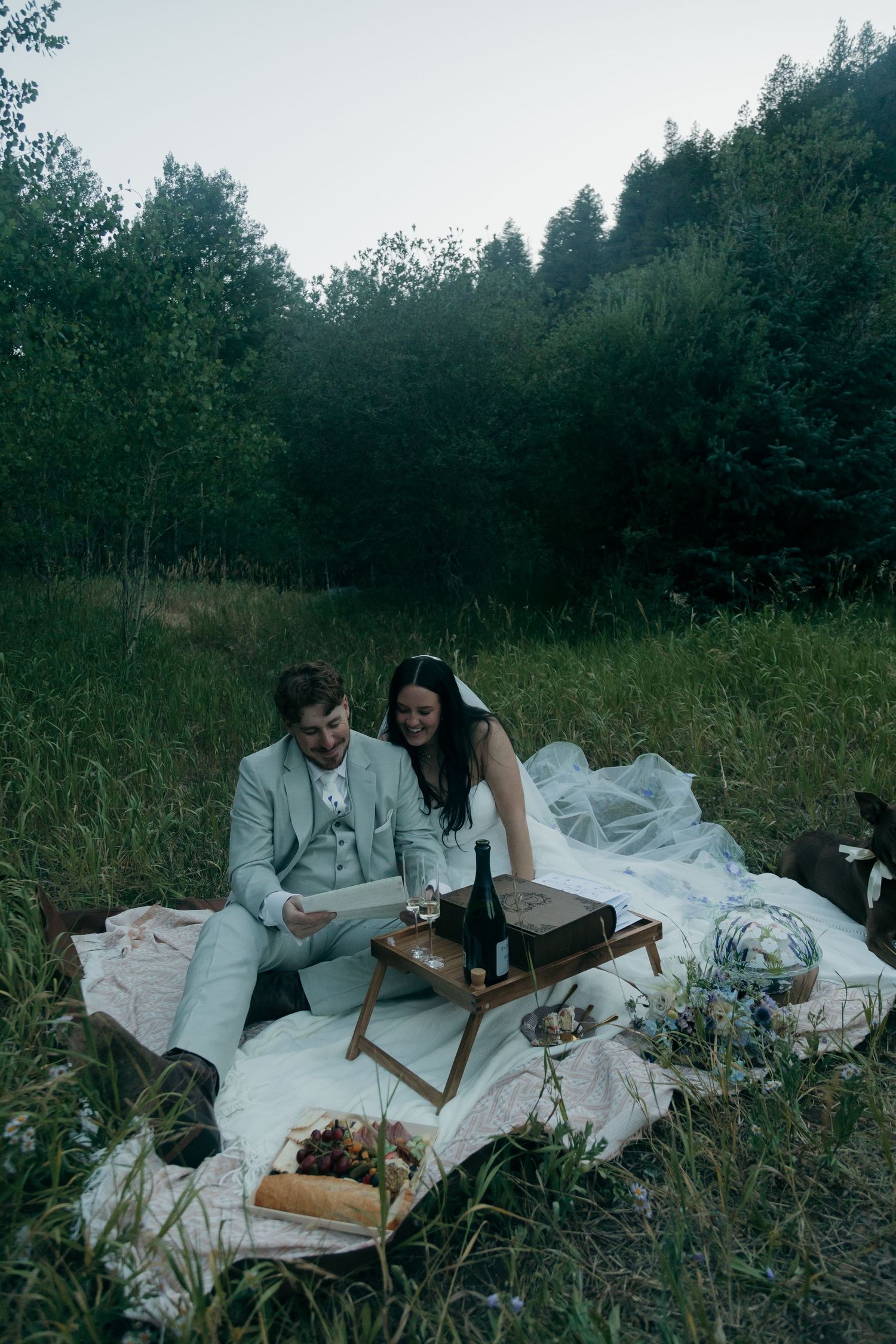 Bride and groom sharing a romantic outdoor picnic on a blanket in a lush green meadow with wine and food.