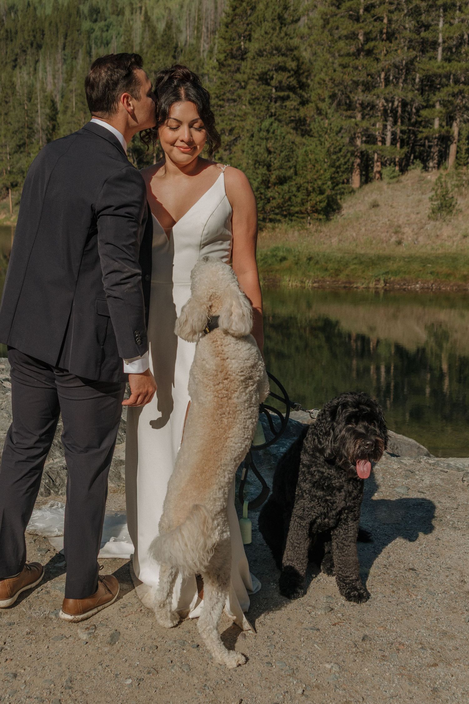 A couple in wedding attire poses with their two large dogs by a serene mountain lake.