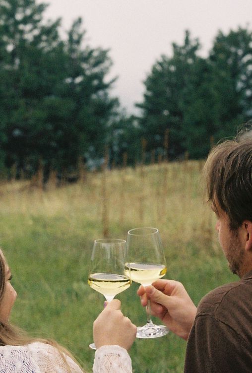Couple clinking glasses of white wine outdoors with green trees and meadow in background.