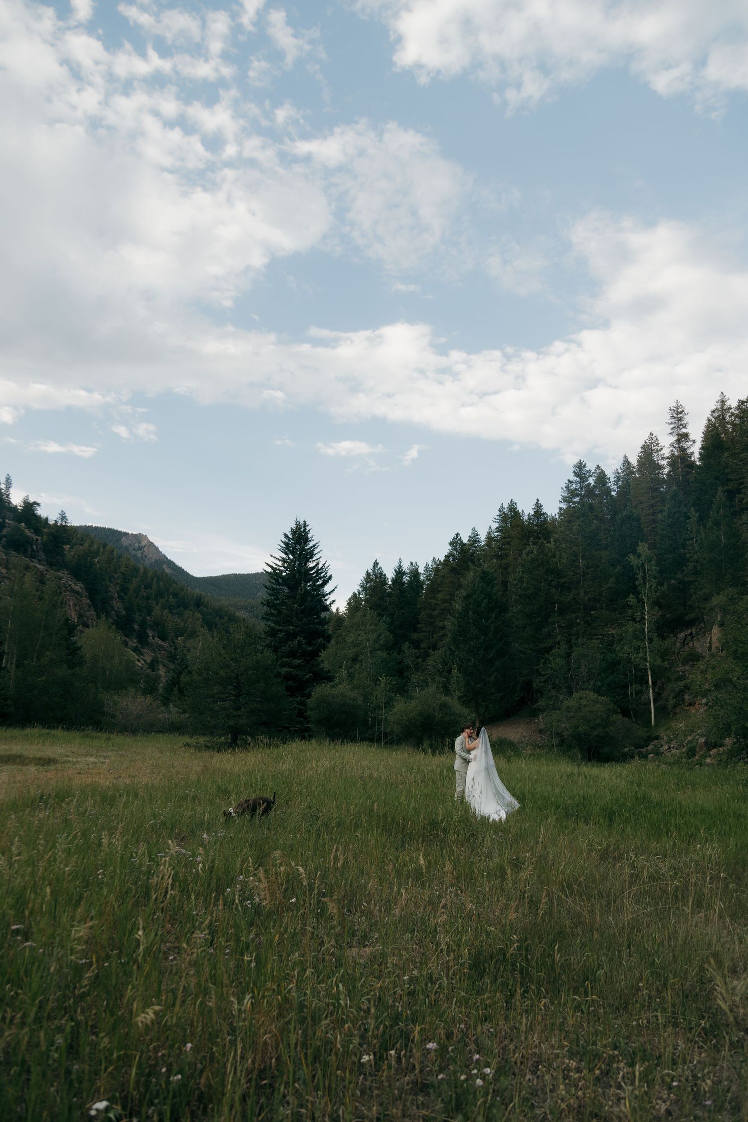Bride and groom embrace in a lush mountain meadow with evergreen forests and dramatic cloudy skies during their outdoor wedding.