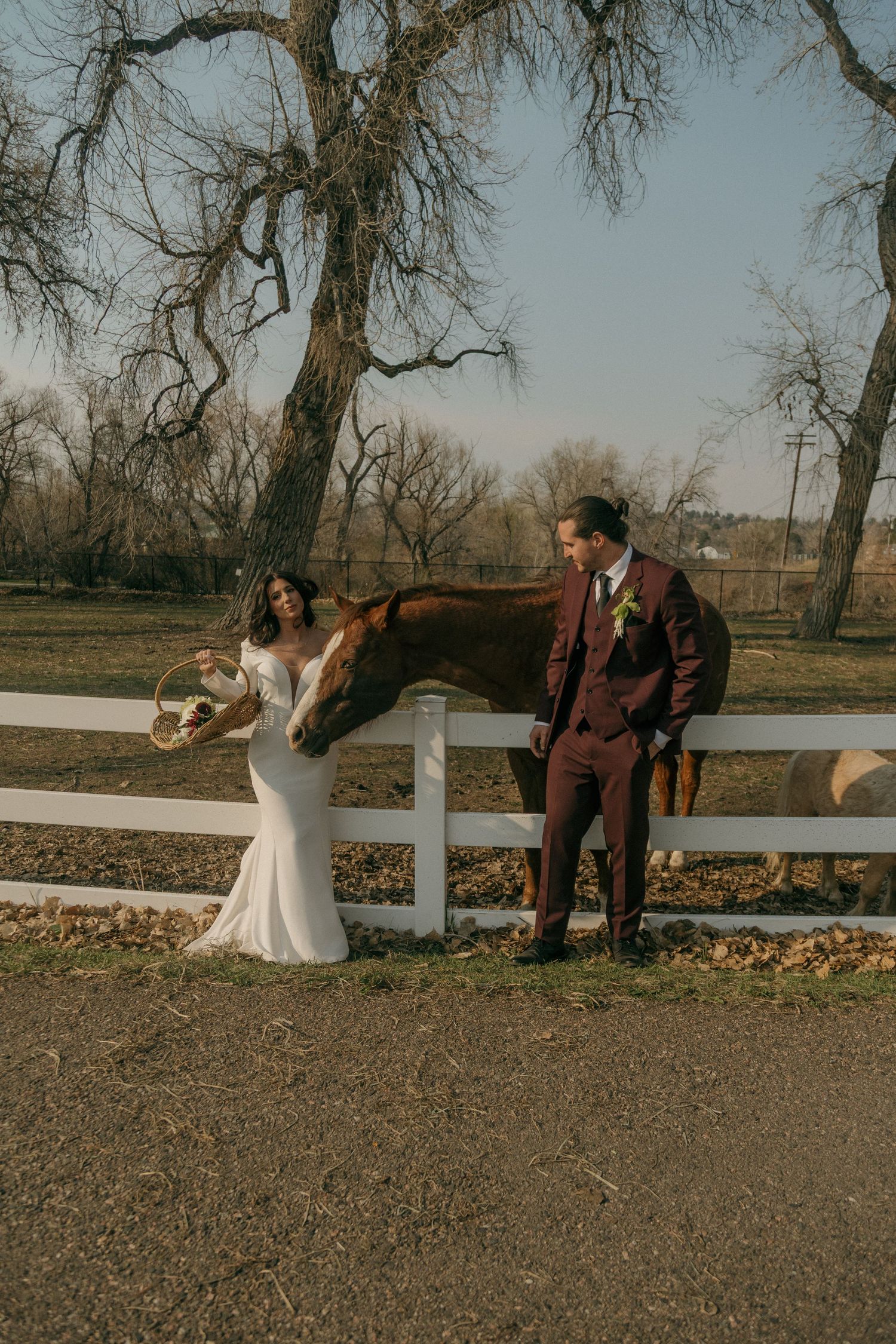 Wedding couple in white gown and burgundy suit feeding a chestnut horse at a white fence ranch on their wedding day.