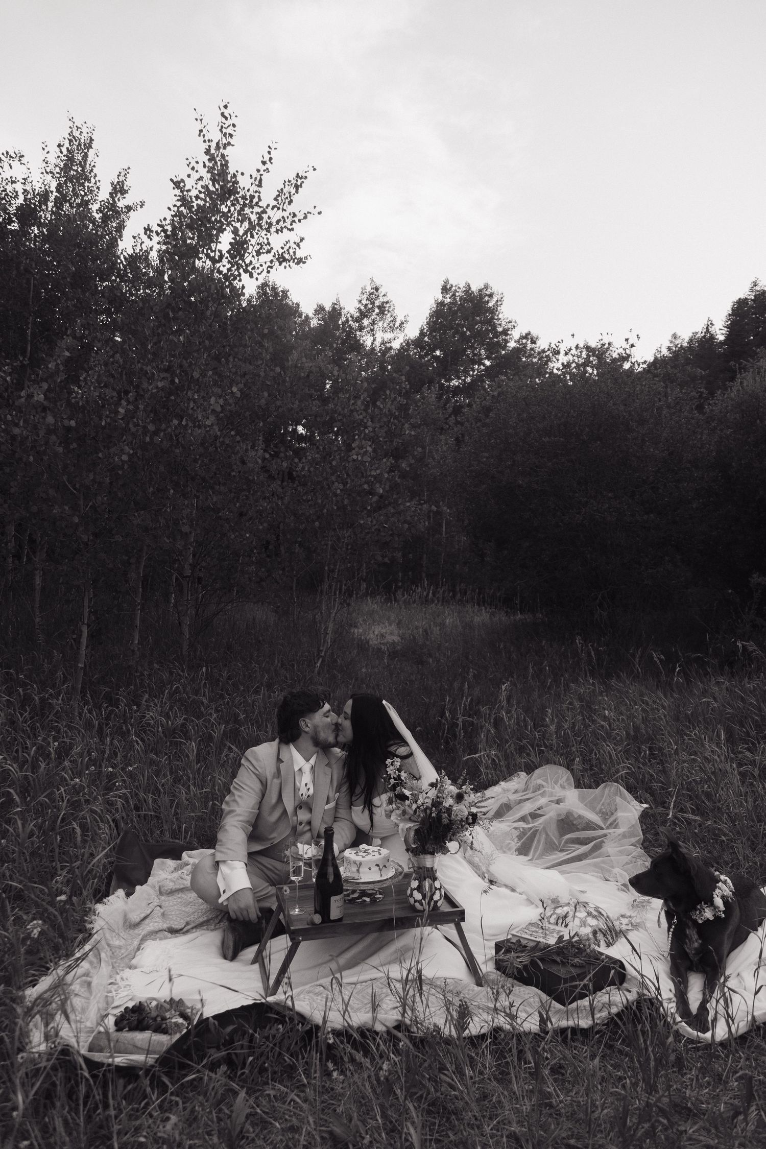 Black and white photo of newlyweds kissing during outdoor picnic in forest clearing with dog nearby.