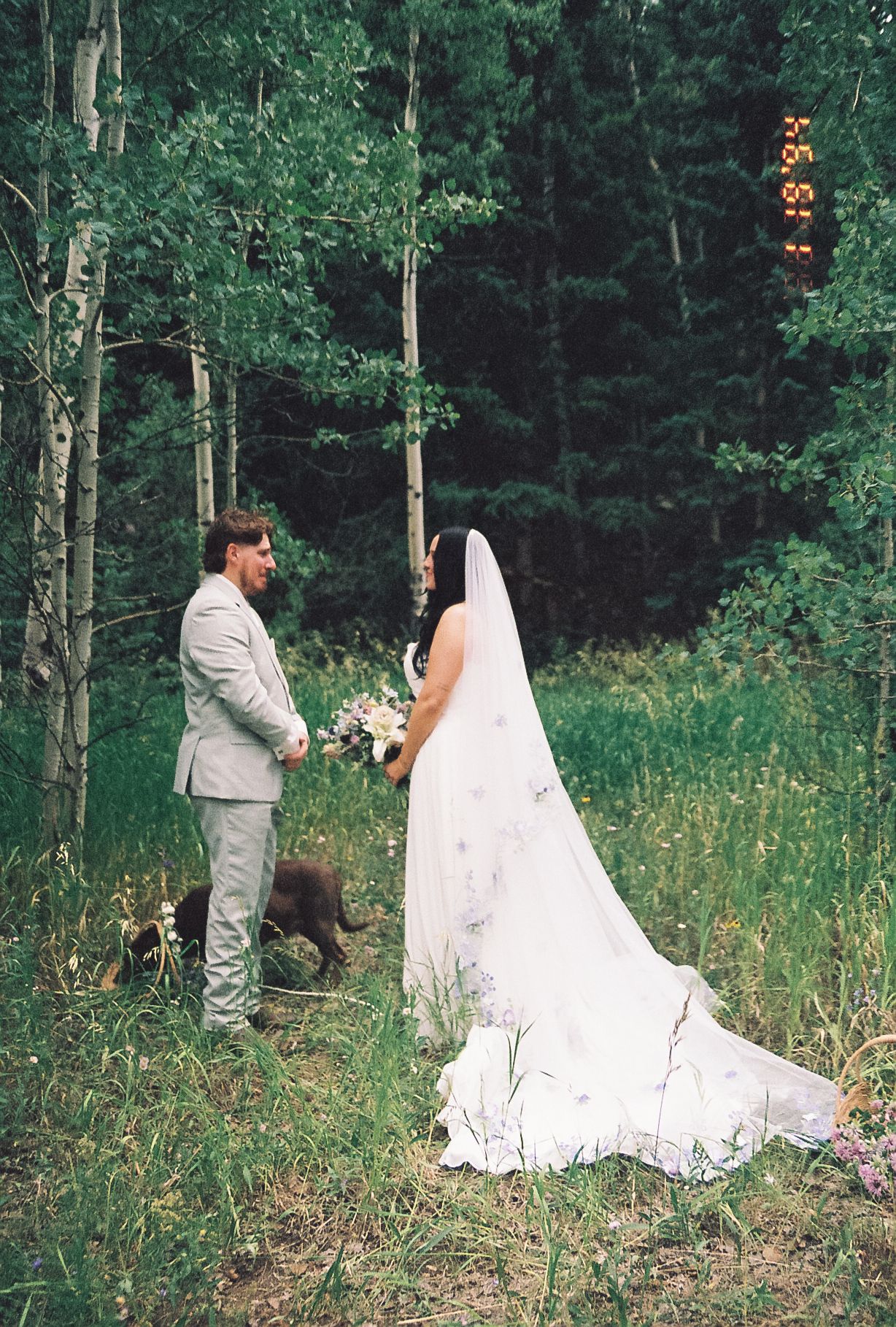 Bride and groom holding hands in forest clearing with dog during film wedding photo.