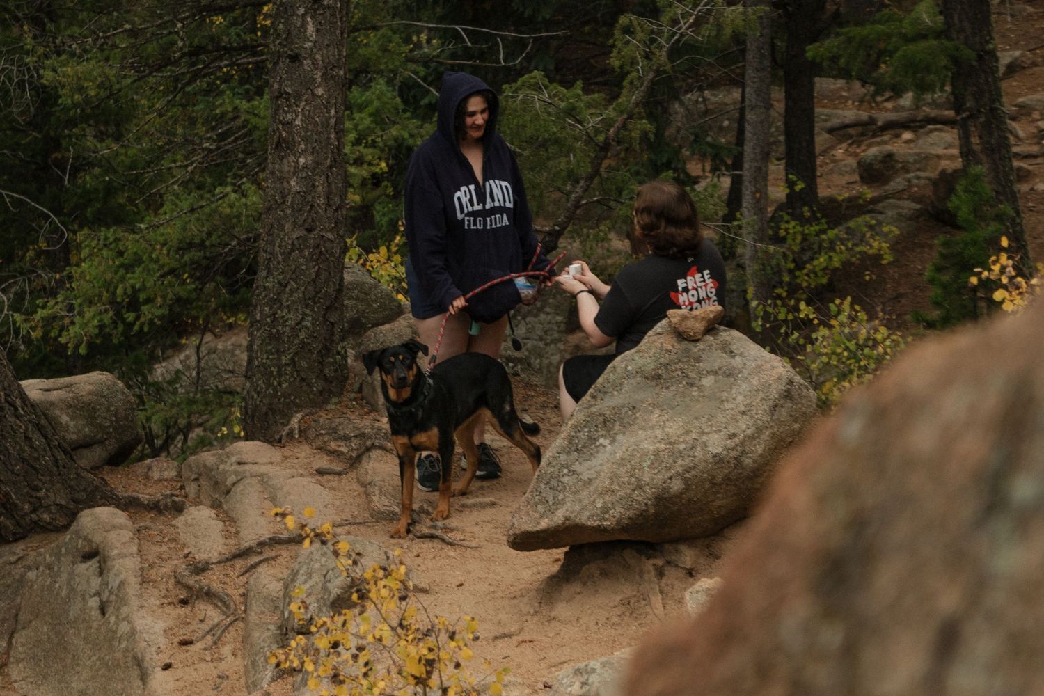Climbers moving through autumn foliage on a rocky slope in a forest setting during sunny weather.