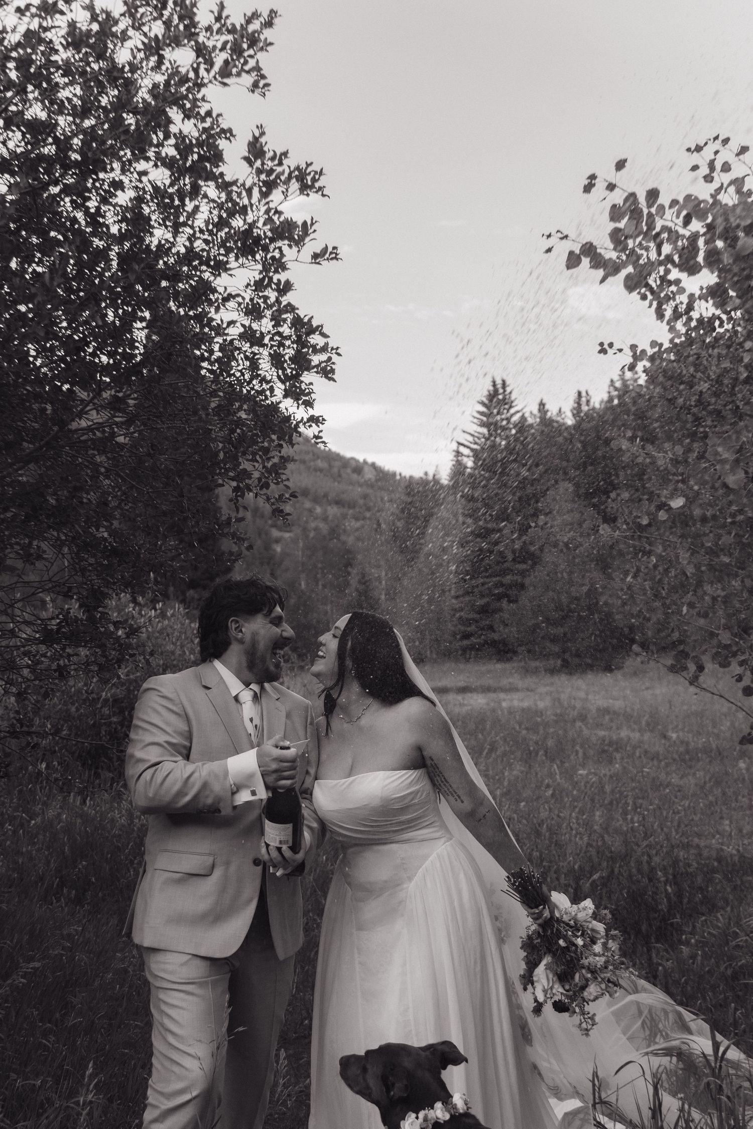 Black and white photo of bride and groom celebrating with champagne in a forest meadow with their dog nearby.