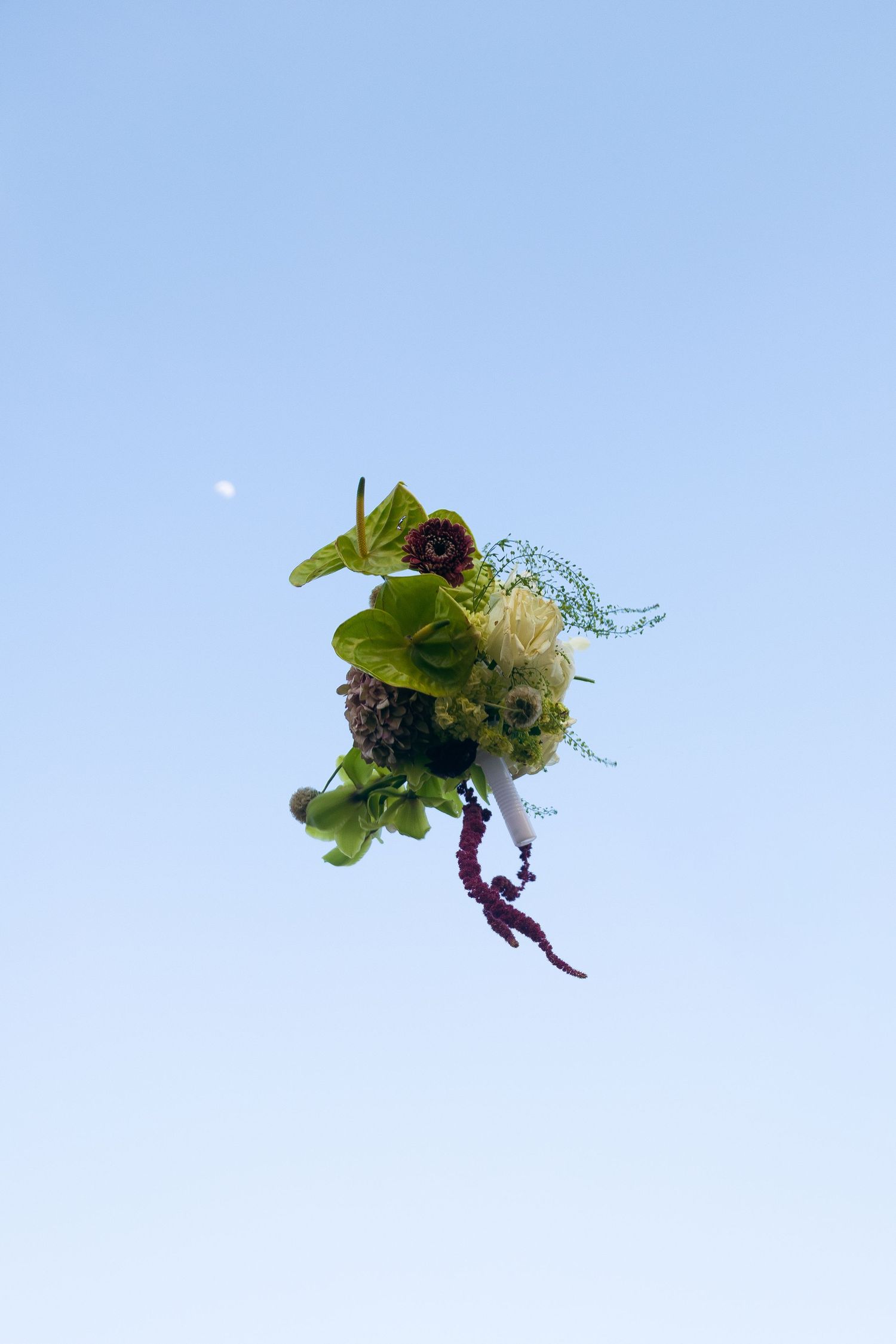 Unique green and burgundy wedding bouquet tossed against clear blue sky with moon visible.