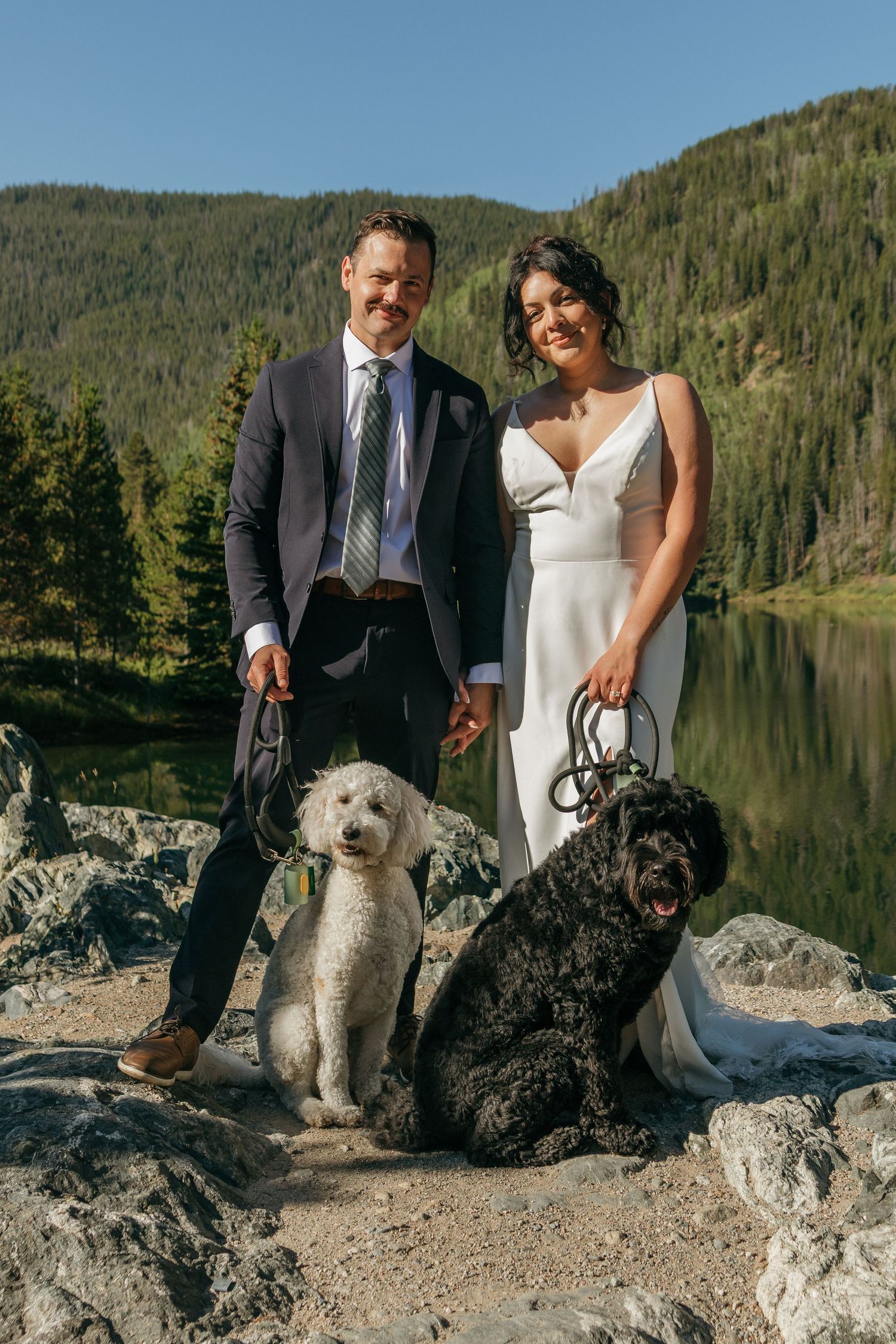 Wedding couple poses with their dogs on a rocky lakeside overlook.