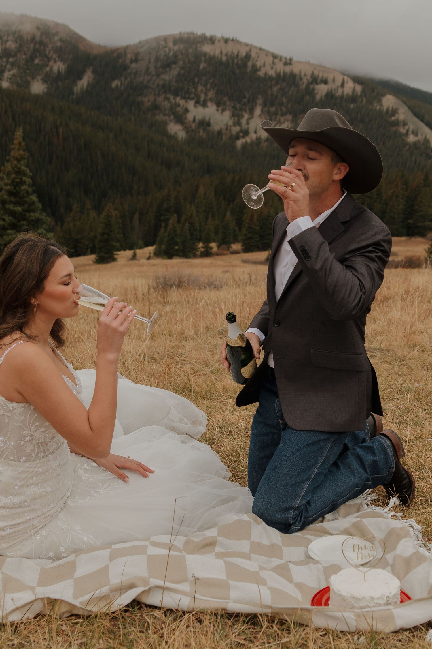 A couple shares champagne while sitting in a scenic mountain field.