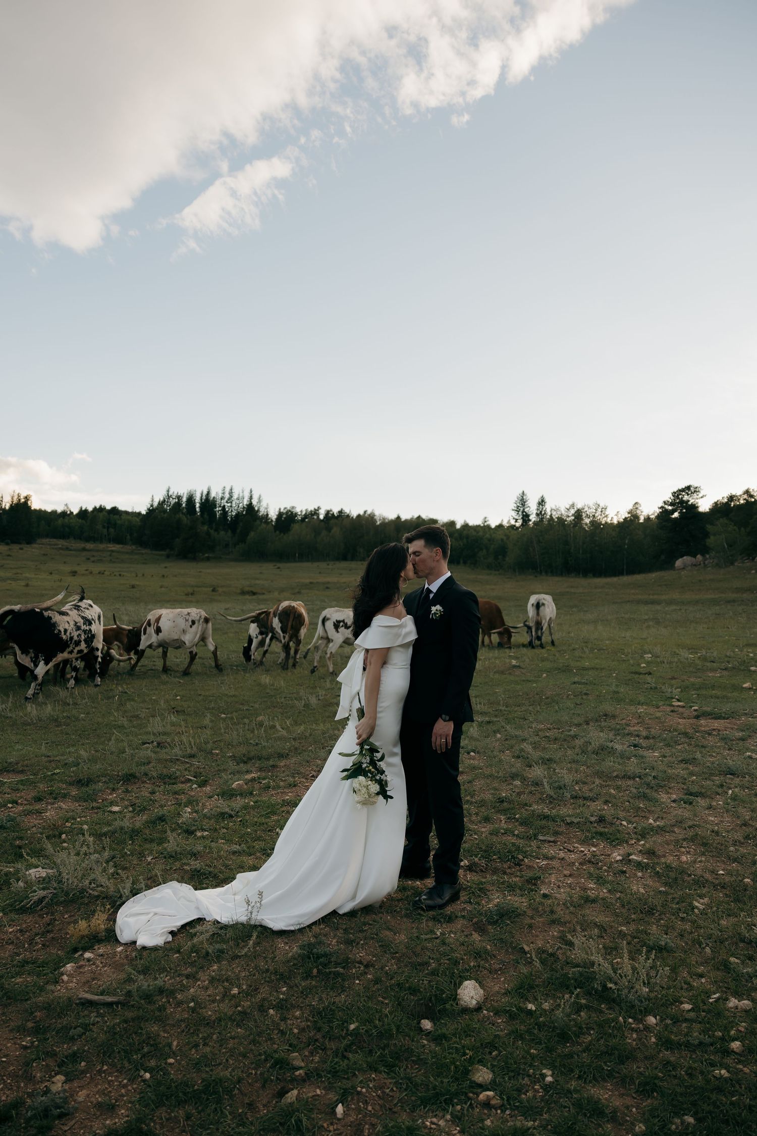 Bride and groom share a romantic moment in a green pasture with cattle grazing behind them.