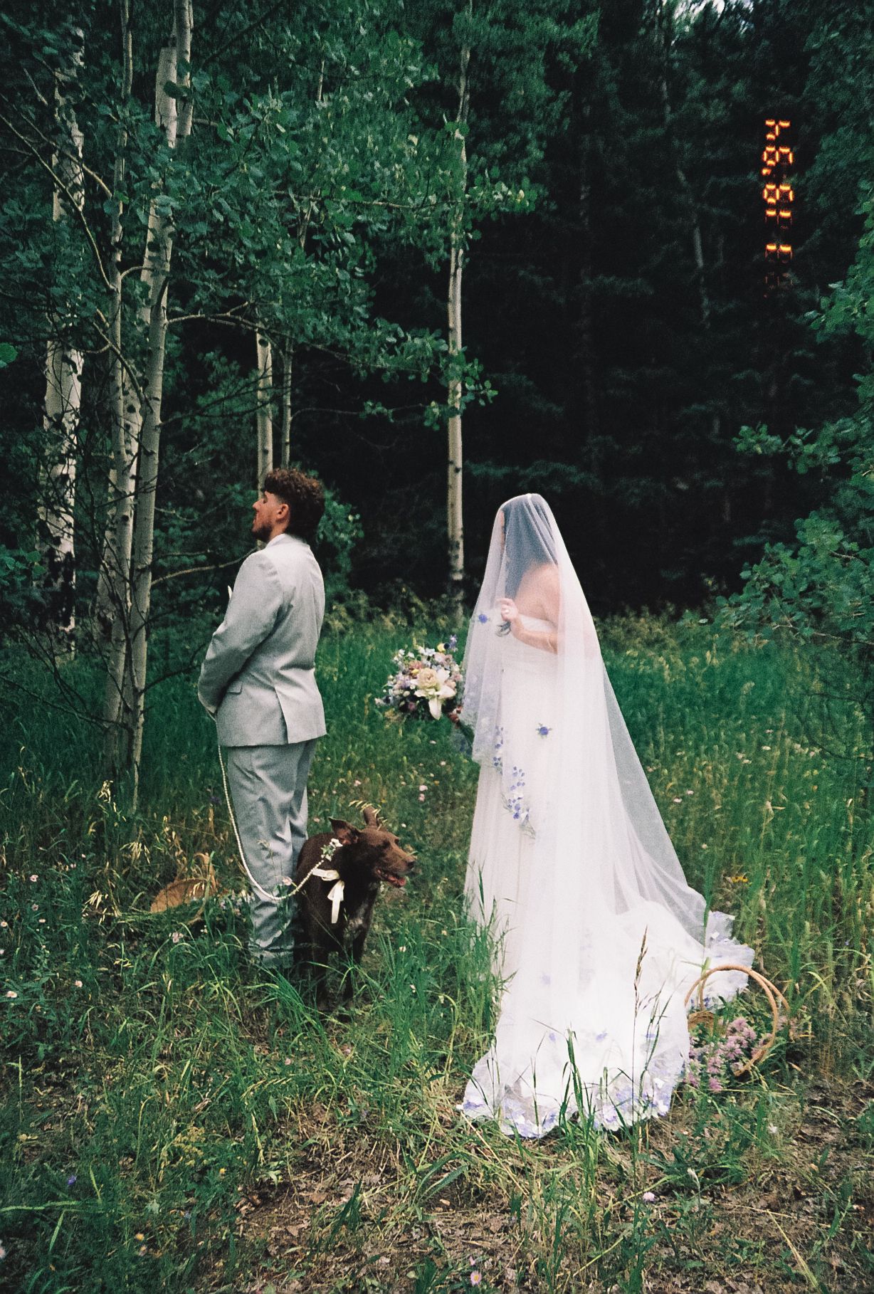 Film photo of bride and groom with dog standing among aspen trees in forest.