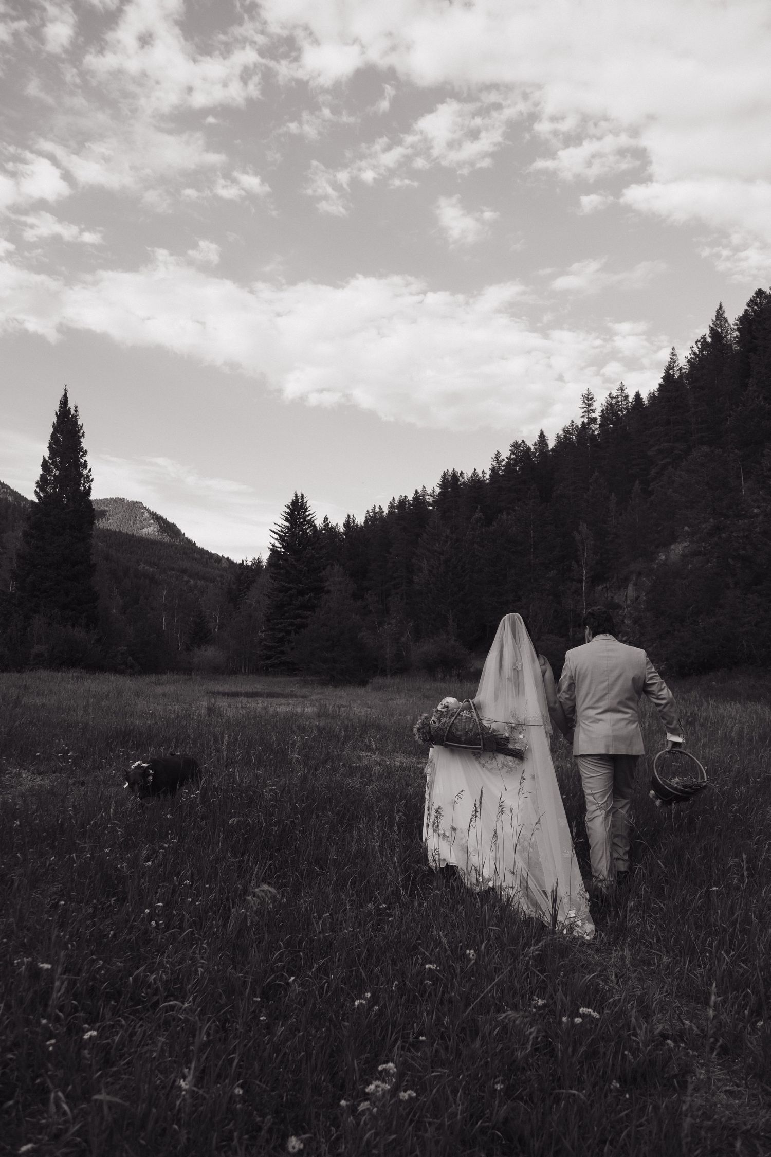Black and white photo of bride and groom walking through mountain meadow with dog during elopement.