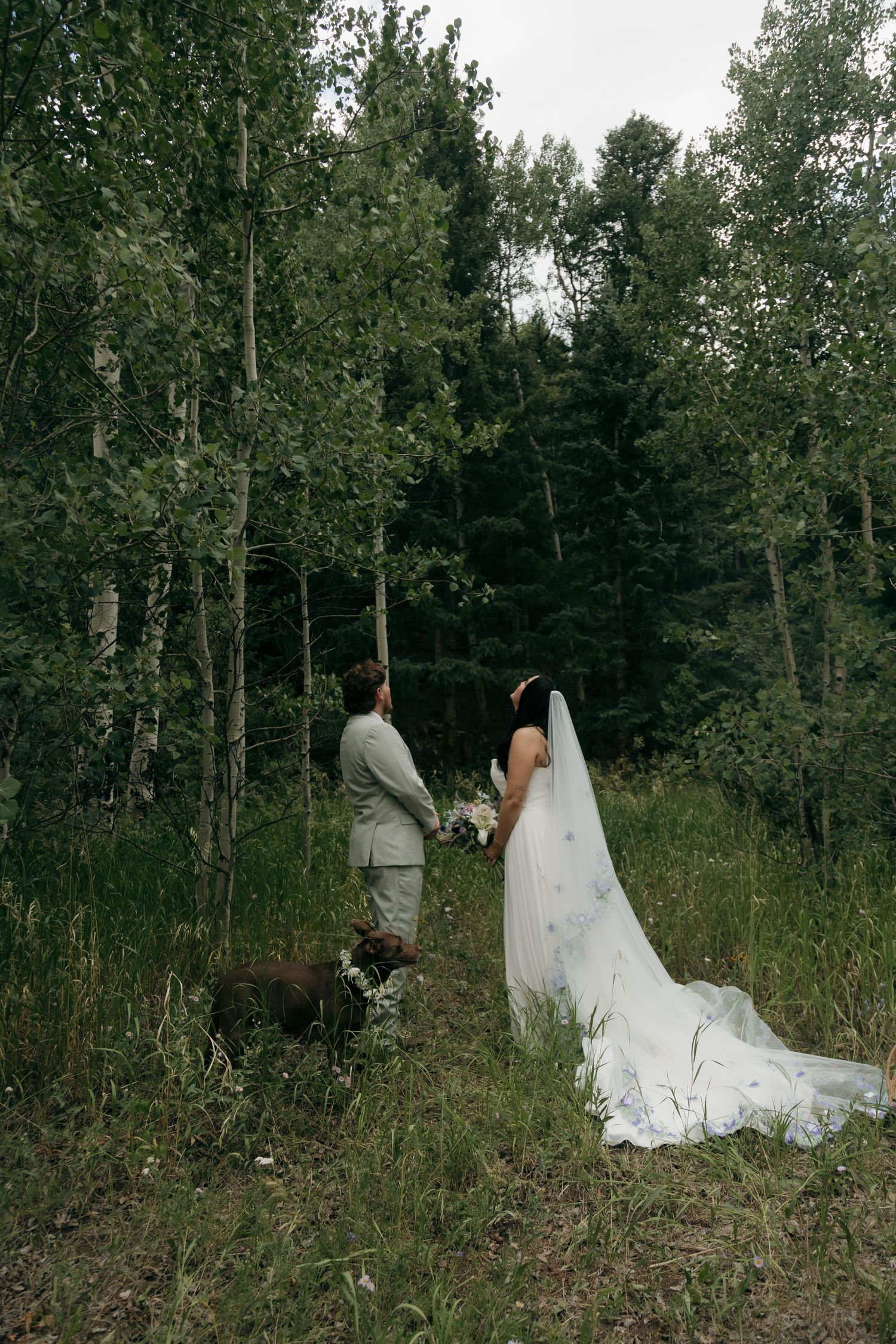 Bride and groom holding hands walking through green forest with dog during outdoor wedding.