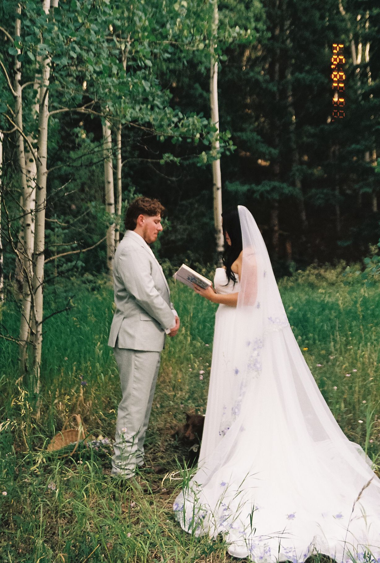 Bride reading vows to groom among aspen trees in forest during intimate outdoor elopement ceremony.