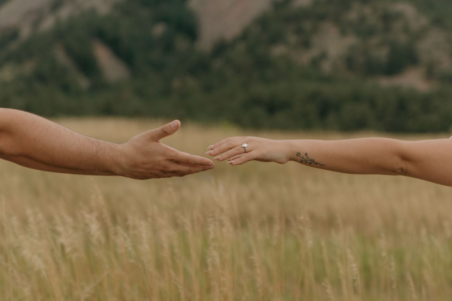 Close-up of two hands nearly touching, one with a tattoo, against a blurred green meadow background.