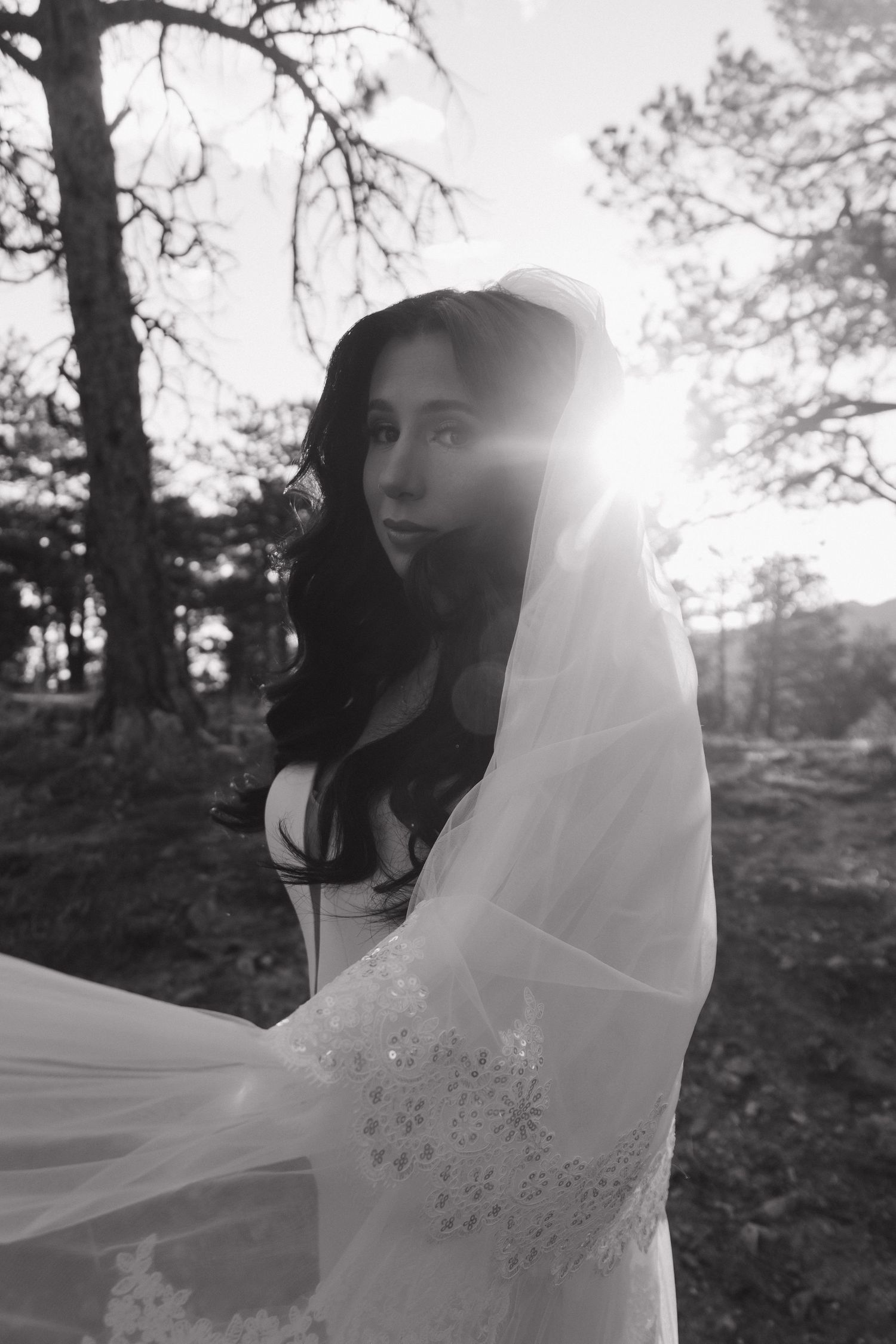 Black and white portrait of a bride in veil with sunlight streaming through forest trees.