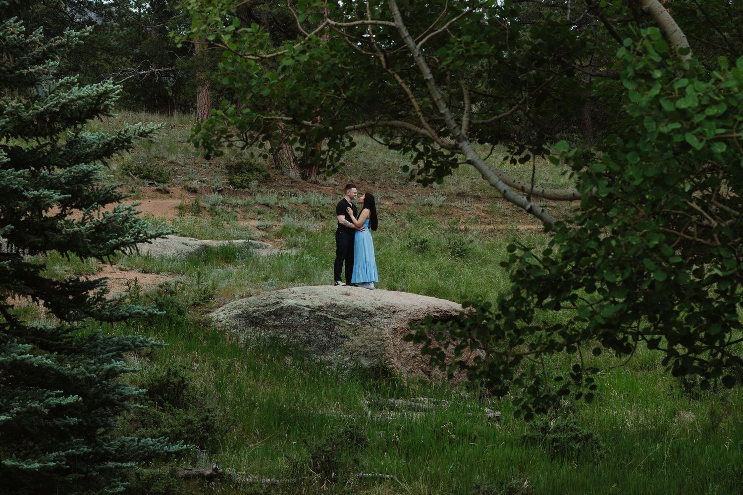 A couple shares an intimate moment on a rocky outcrop surrounded by pine trees.