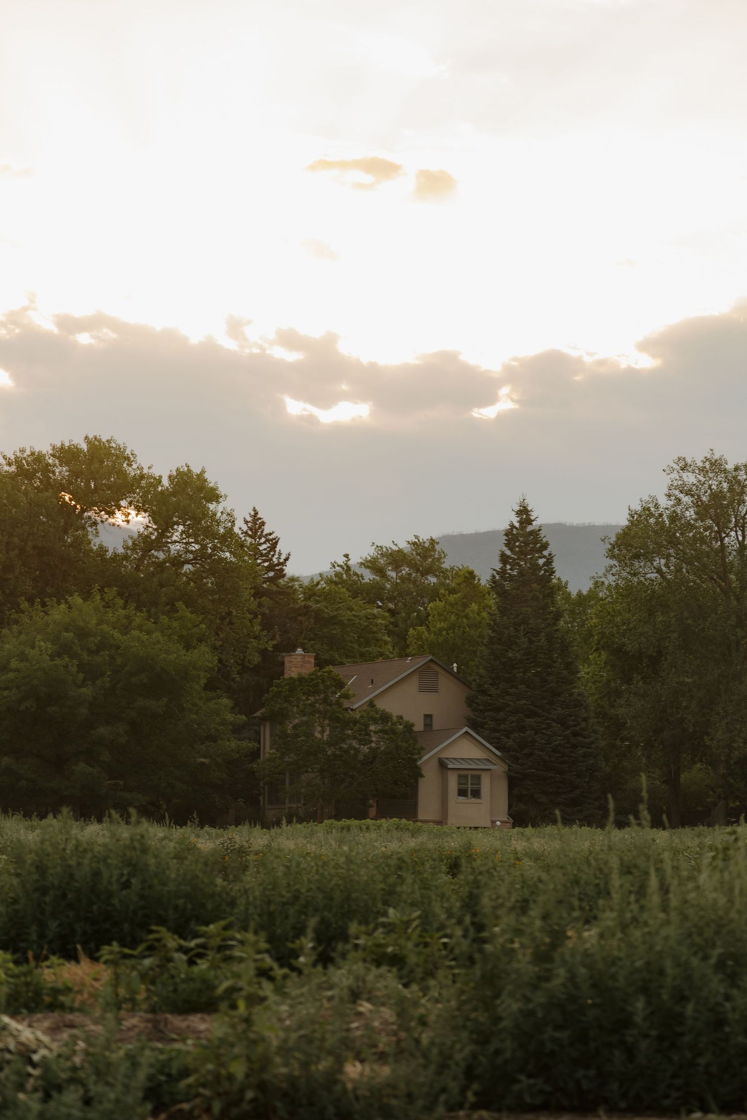 Rustic farmhouse surrounded by lush green trees and fields under a dramatic golden sunset sky.