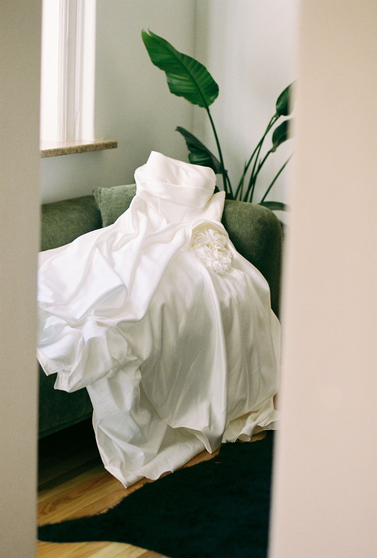 White wedding dress draped over furniture with green plants in background.
