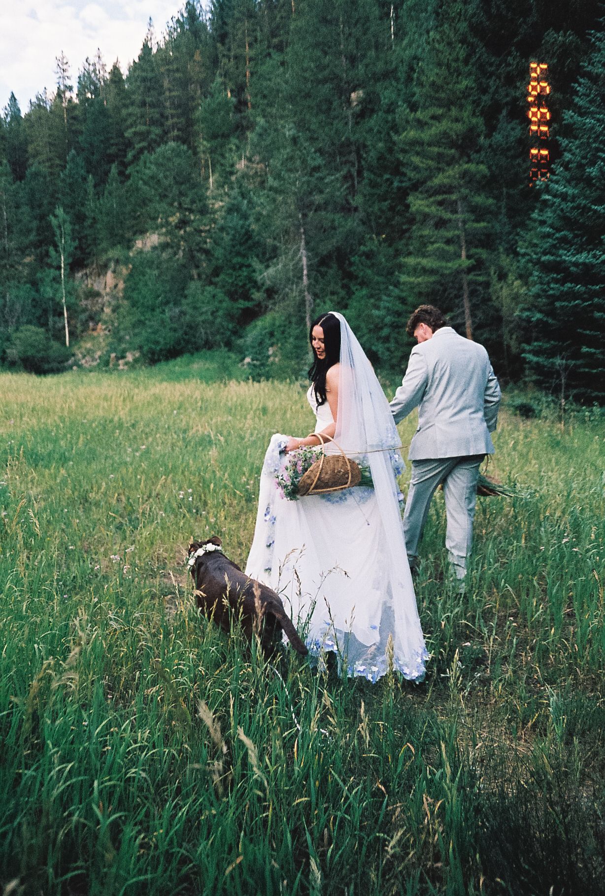 Bride and groom walk through tall grass meadow with their dog during outdoor forest wedding shoot.