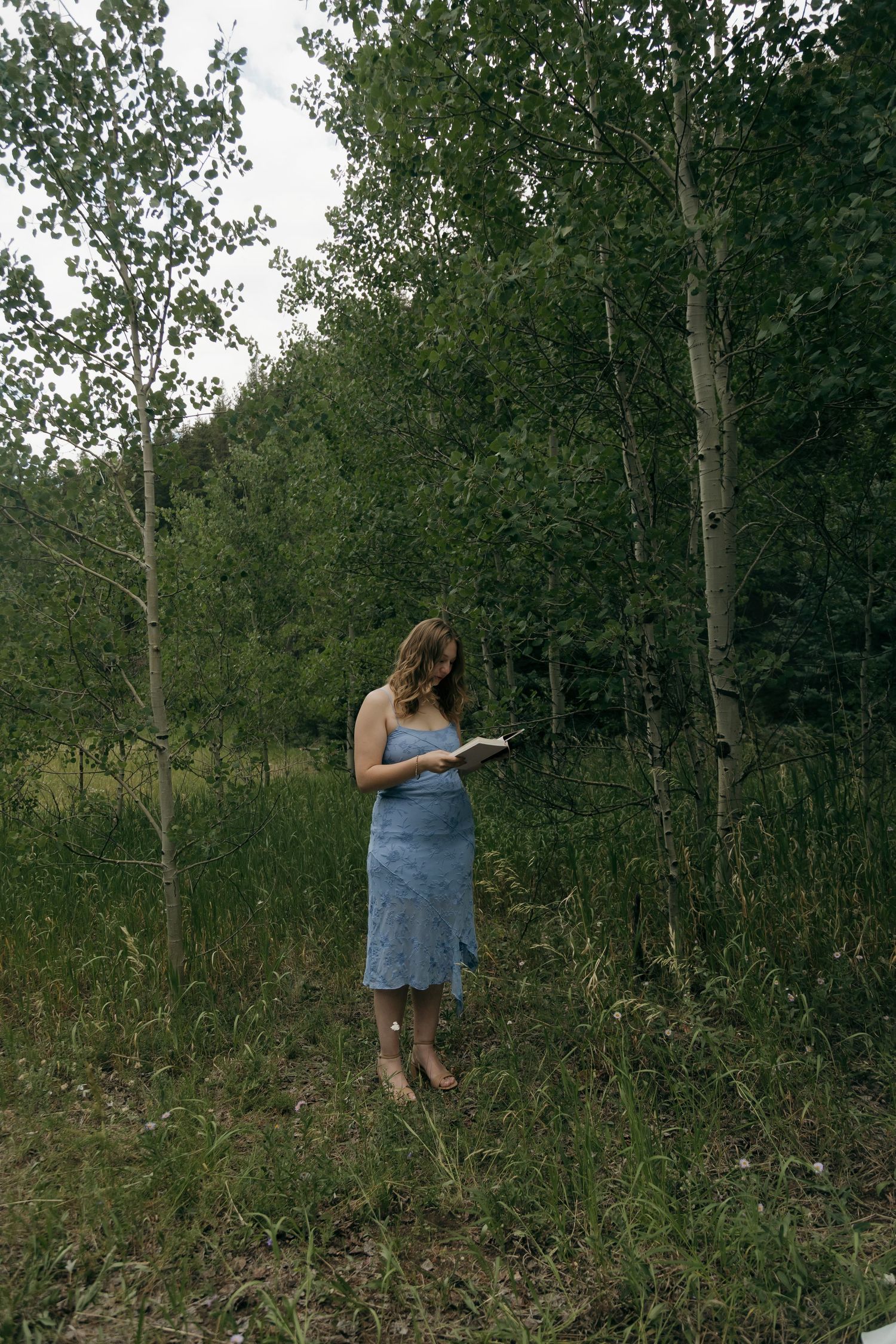 Woman in blue dress reading a book outdoors among aspen trees in a lush green forest.