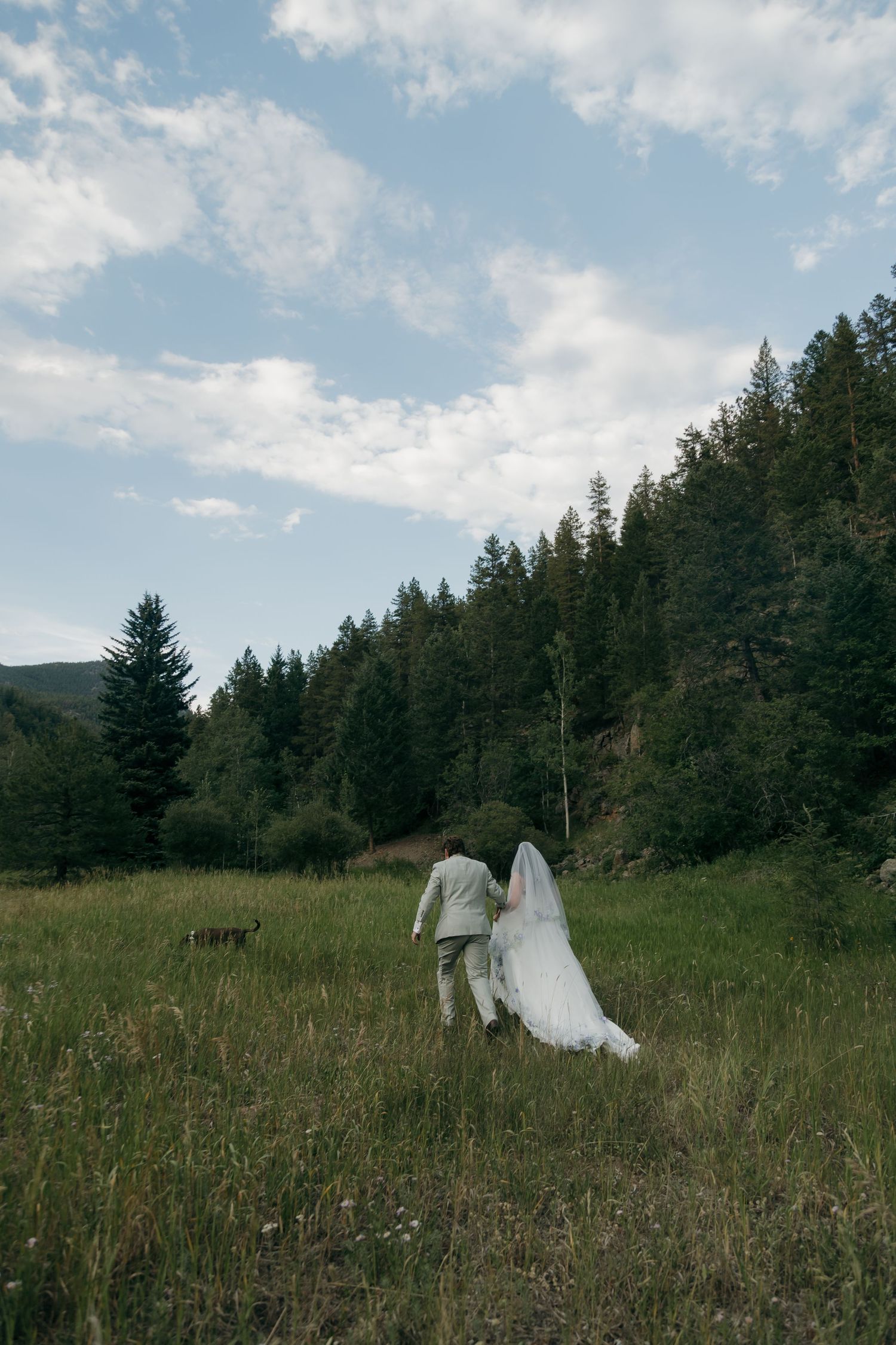 Bride and groom walking through a lush green meadow surrounded by pine trees on their wedding day.
