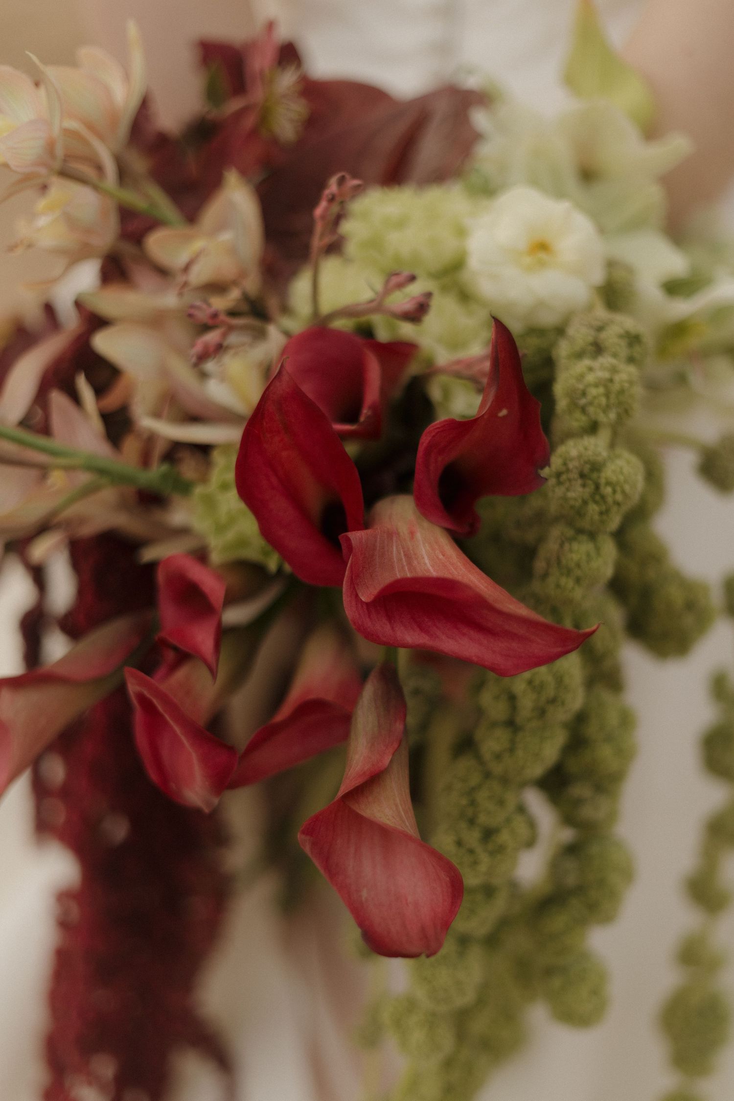 Close-up of red and white flowers with green foliage arranged in an elegant floral display.