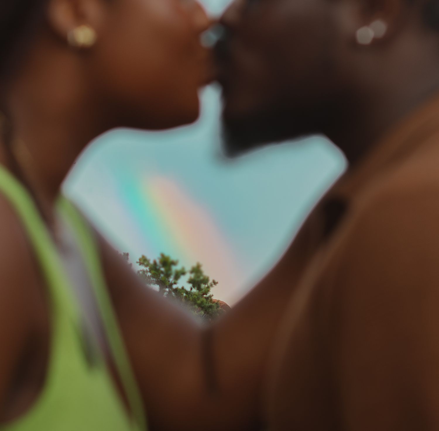A silhouetted romantic couple kissing against a dreamy pastel sky with a small green plant visible in the background.