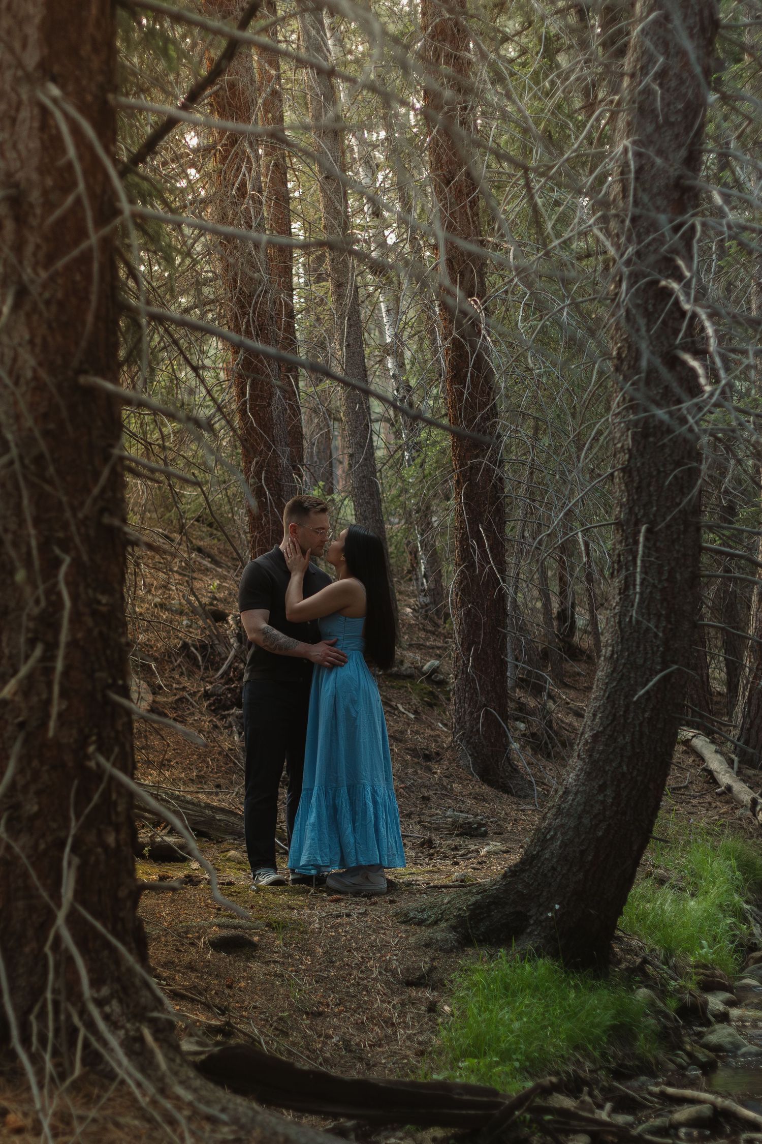 A couple embracing on a forest path surrounded by tall pine trees.