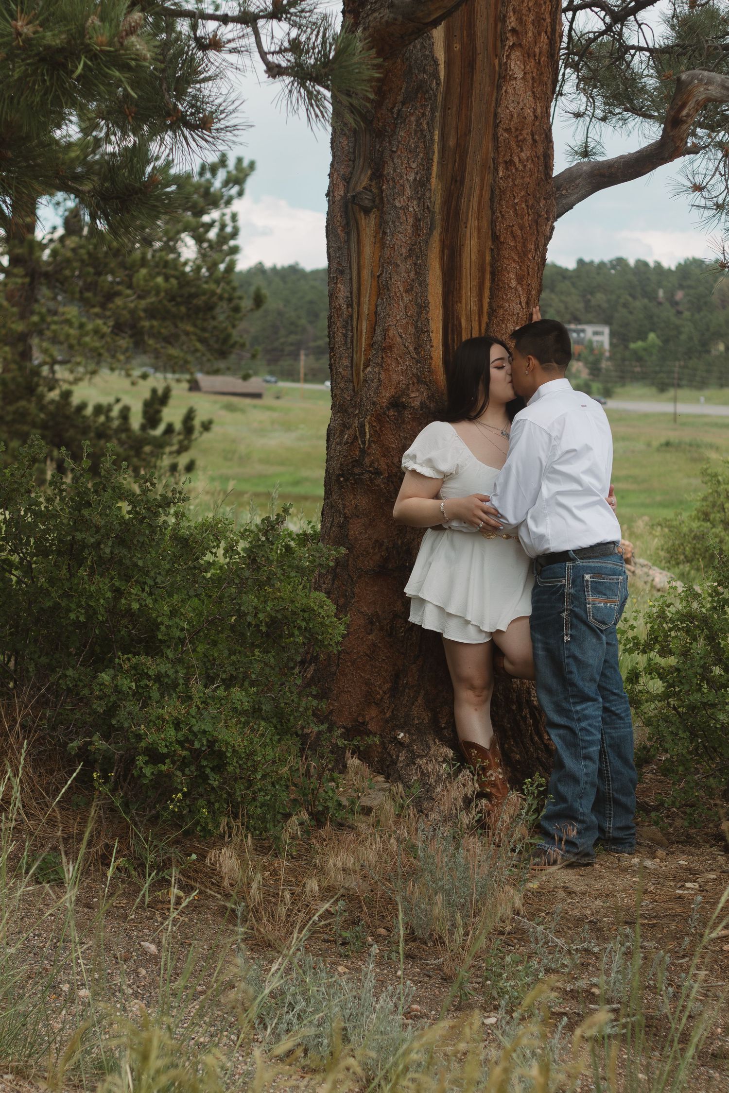 Romantic couple stands close together by large pine tree in mountain field setting.