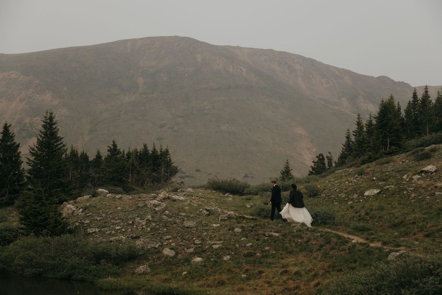 Bride and groom walk hand in hand through a lush mountain meadow surrounded by pine trees during their elopement.
