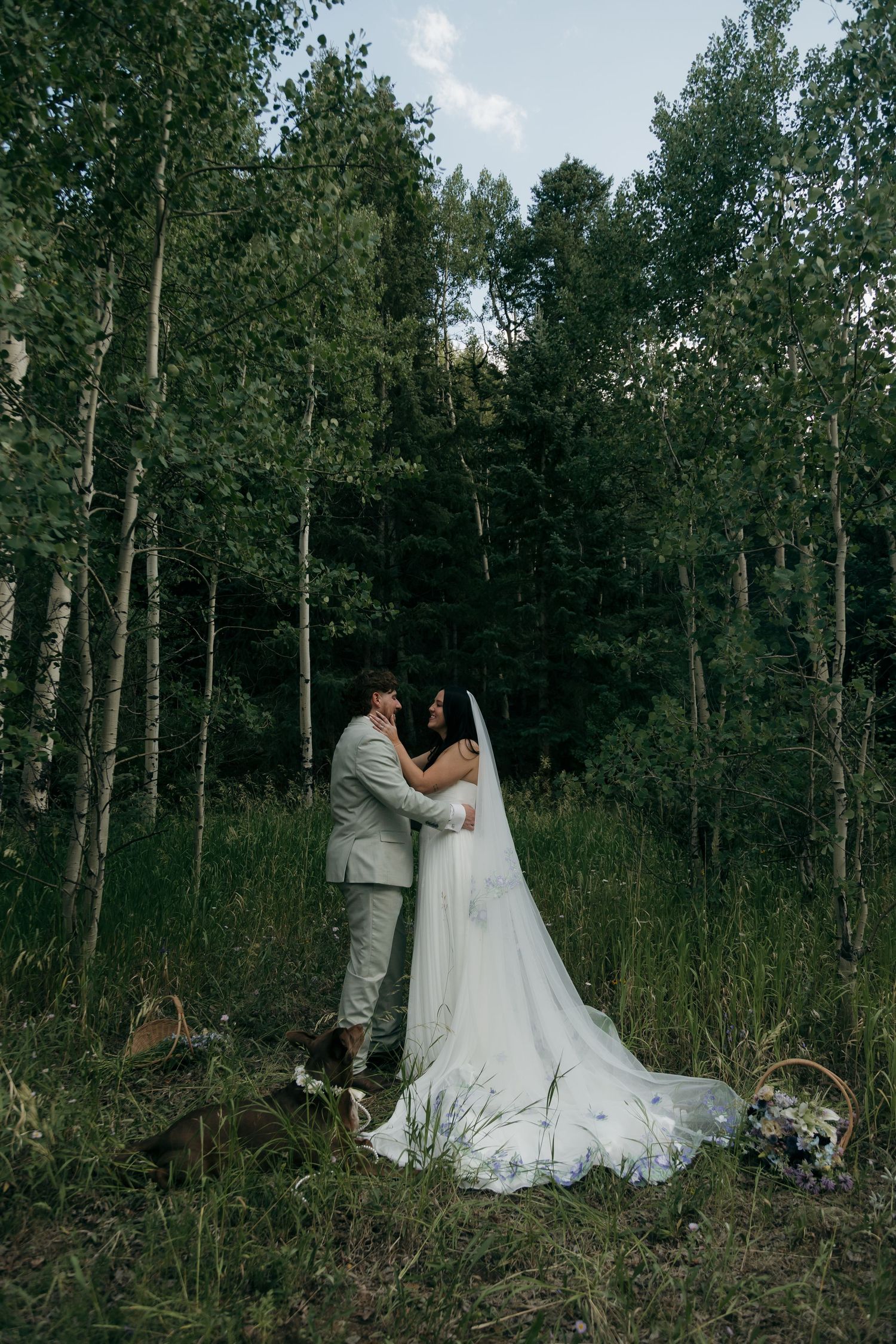Bride and groom embrace romantically among white birch trees in a lush forest wedding photo.