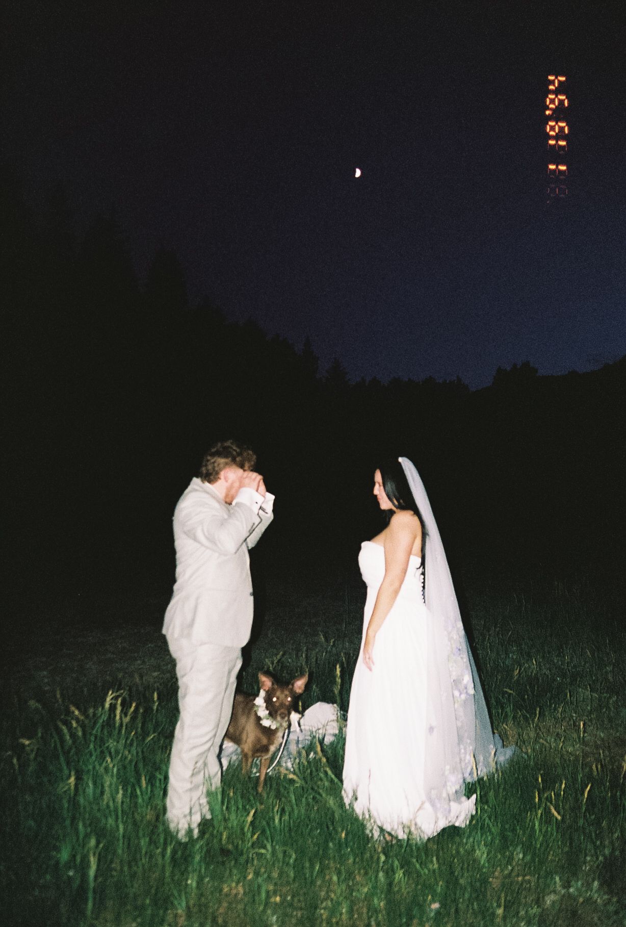 Bride and groom with their dog under a starry night sky at their outdoor wedding.