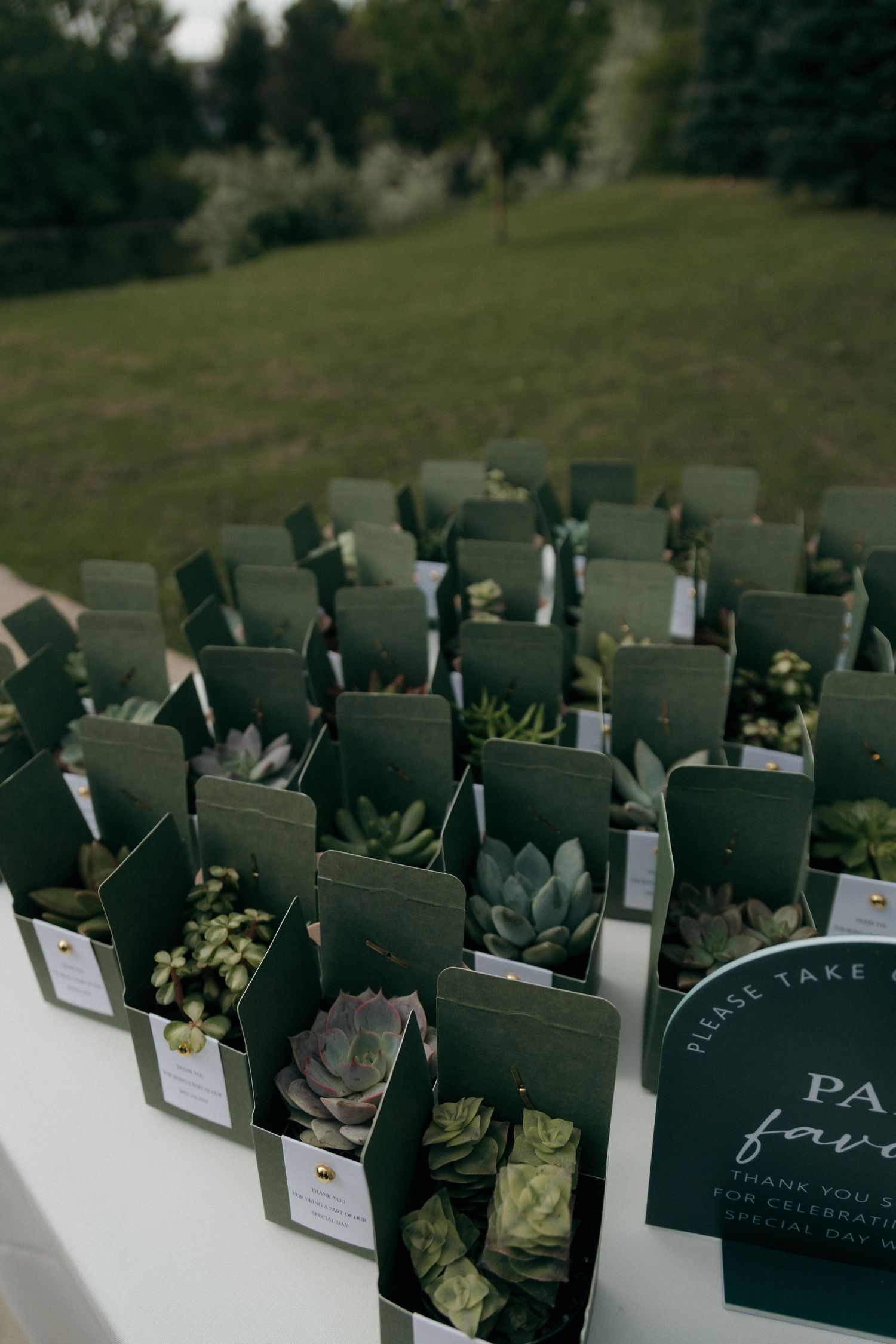 Rows of succulent wedding favors in green boxes displayed on a table with a please take a favor sign.