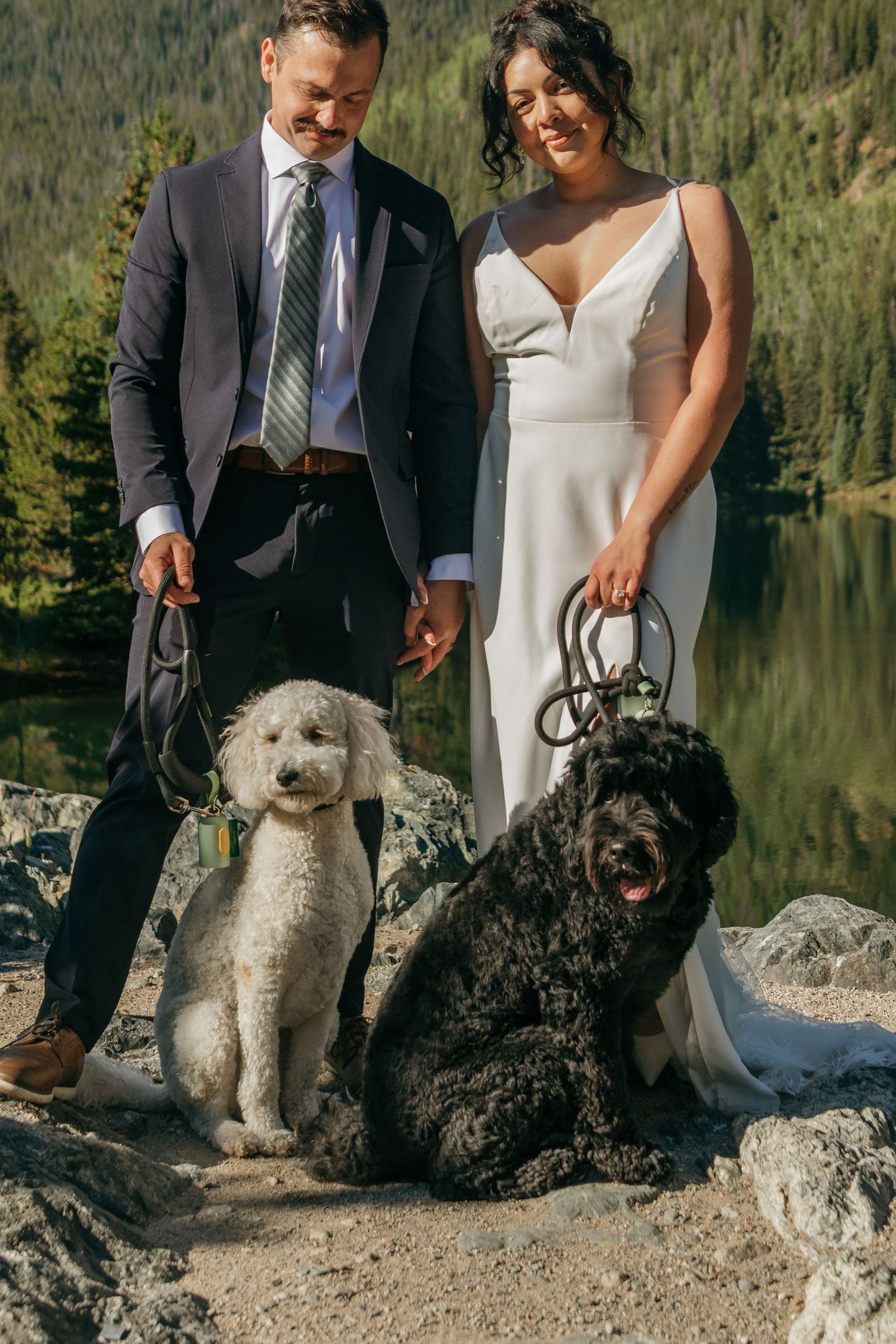 A couple in wedding attire posing with their two fluffy dogs on rocks by a mountain lake.