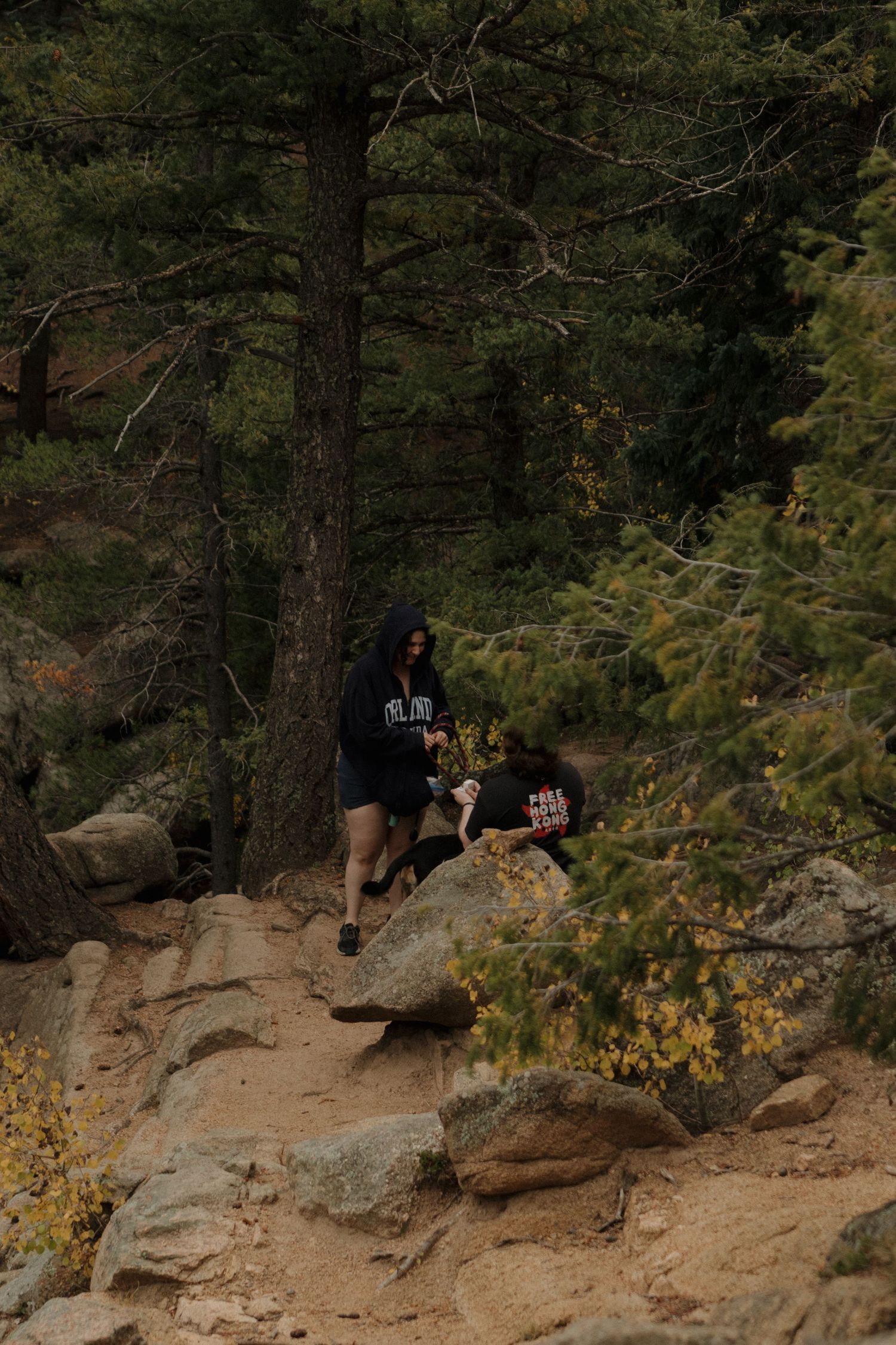 Hikers explore rocky terrain along a wooded trail surrounded by evergreen trees and autumn foliage.