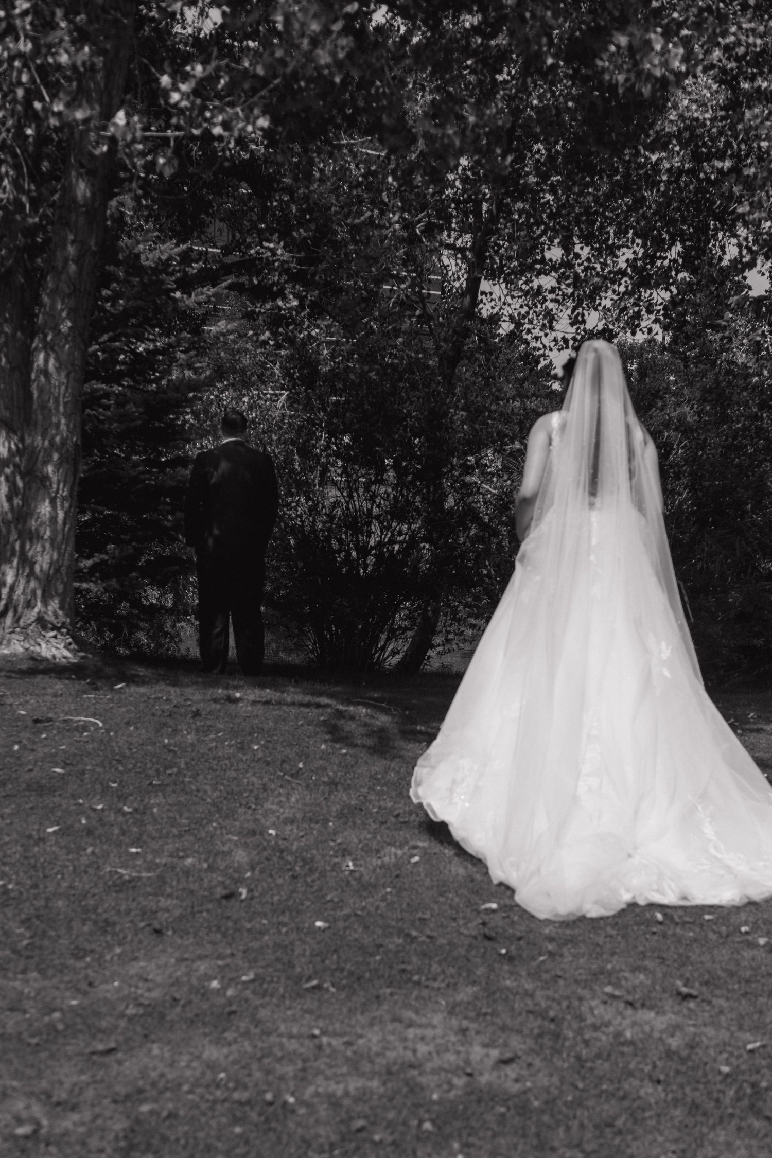 Black and white photo of a bride in a flowing veil approaching a groom standing among trees.