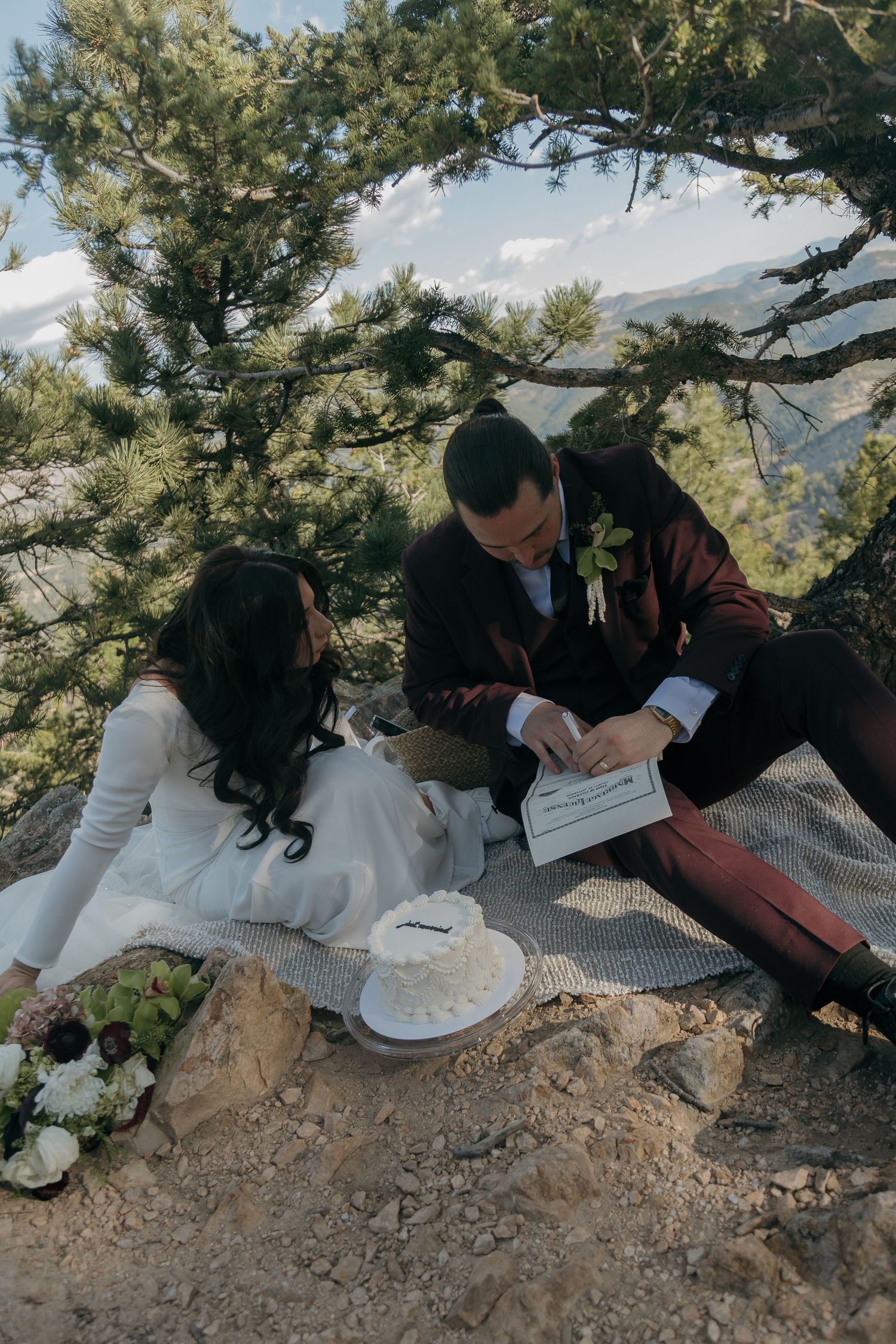 Newlyweds sit under pine tree reviewing marriage certificate with cake and bouquet nearby.