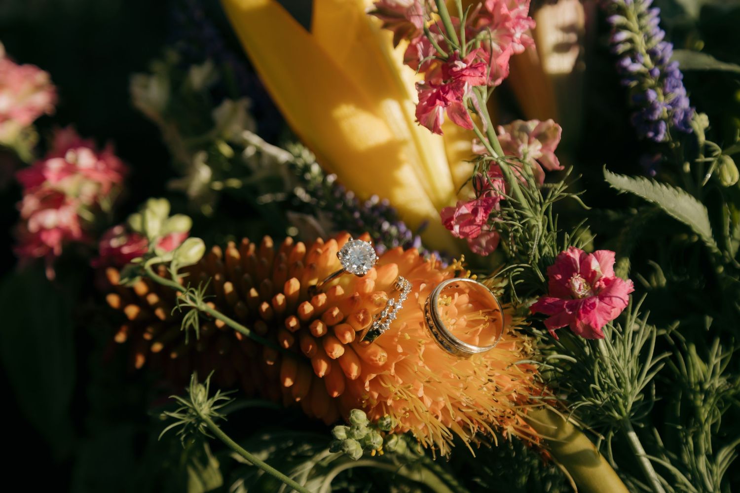 Wedding rings resting on an orange protea surrounded by colorful wildflowers including pink blooms and purple lavender.