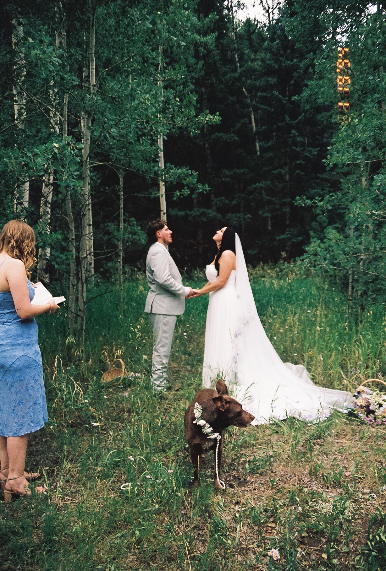 Bride and groom hold hands during outdoor forest elopement ceremony with officiant and dog in attendance.
