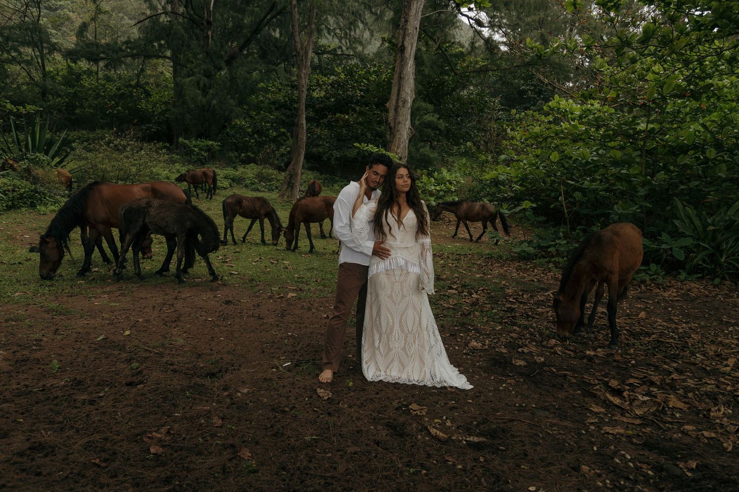 A group of wild horses grazes in a wooded area while someone in a white dress stands among them.