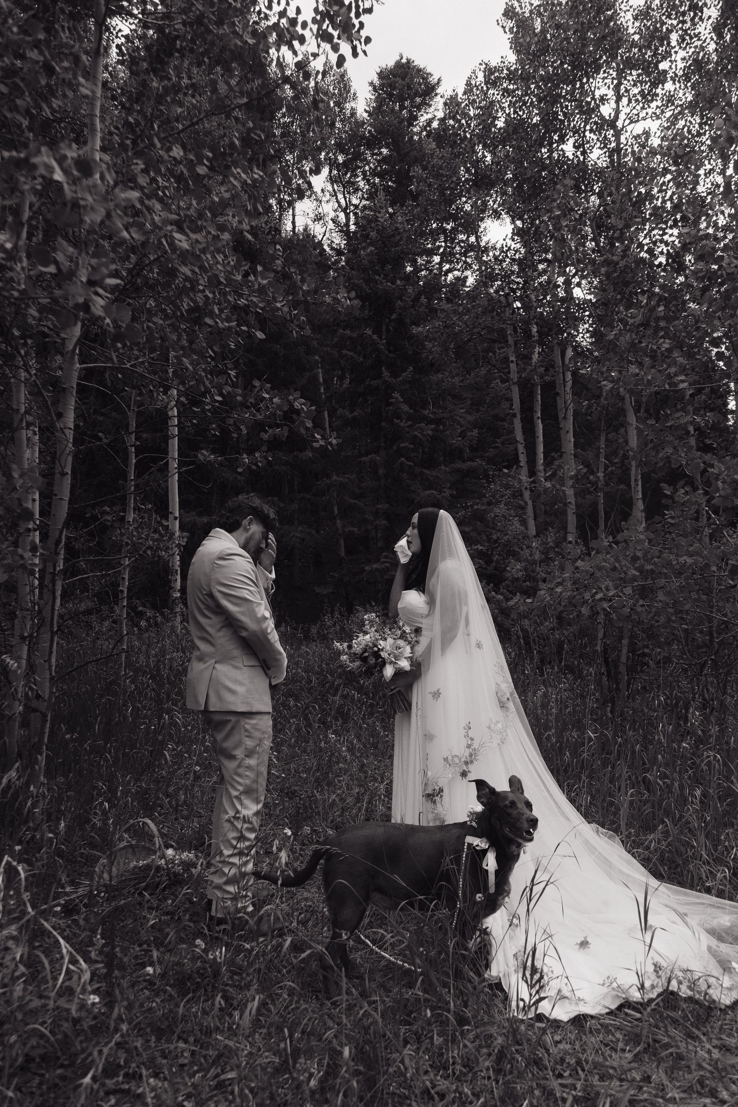 Black and white photo of bride and groom with two dogs during an intimate forest wedding ceremony.