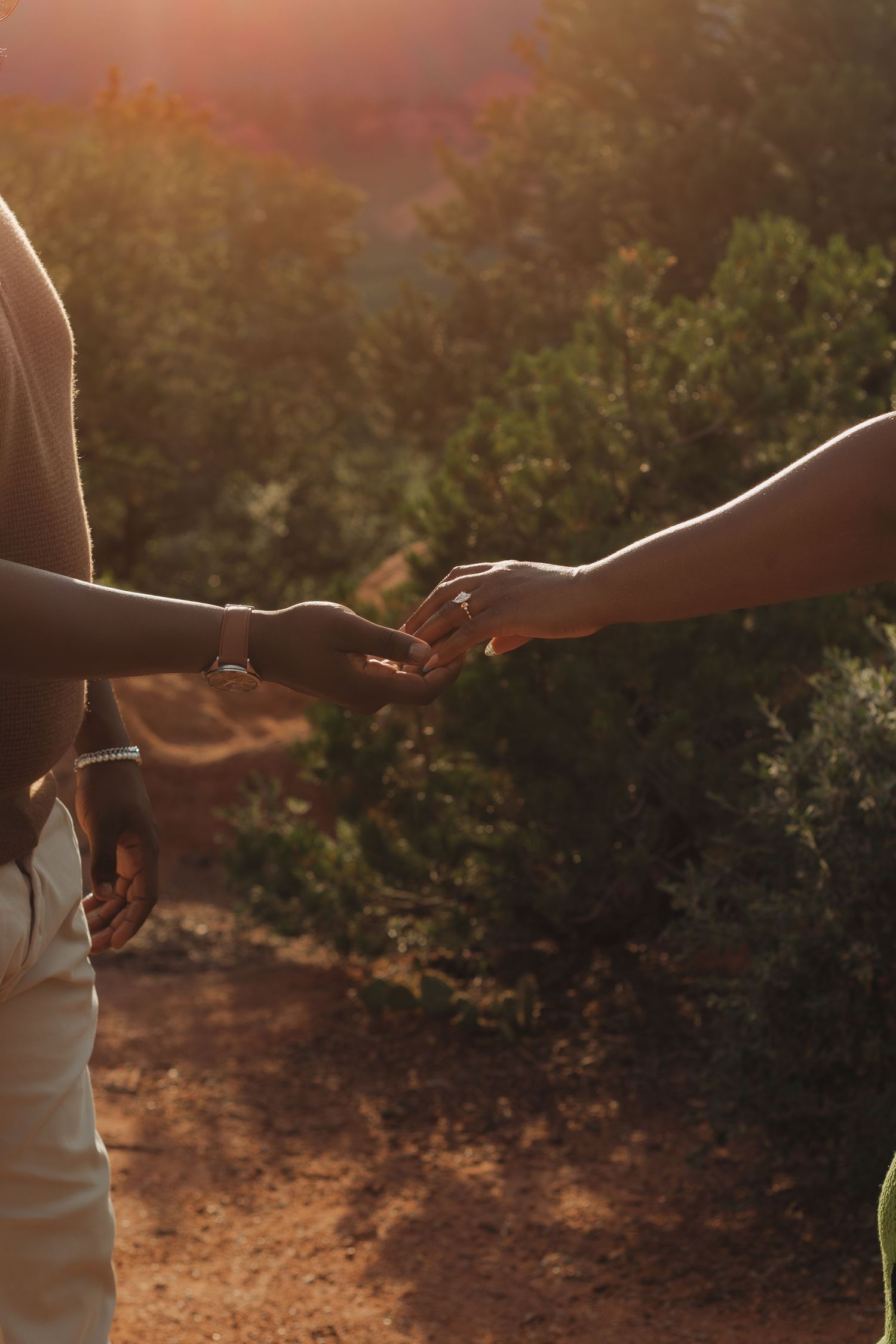 Two hands reaching towards each other in a tender moment during golden sunset with bushes in the background.