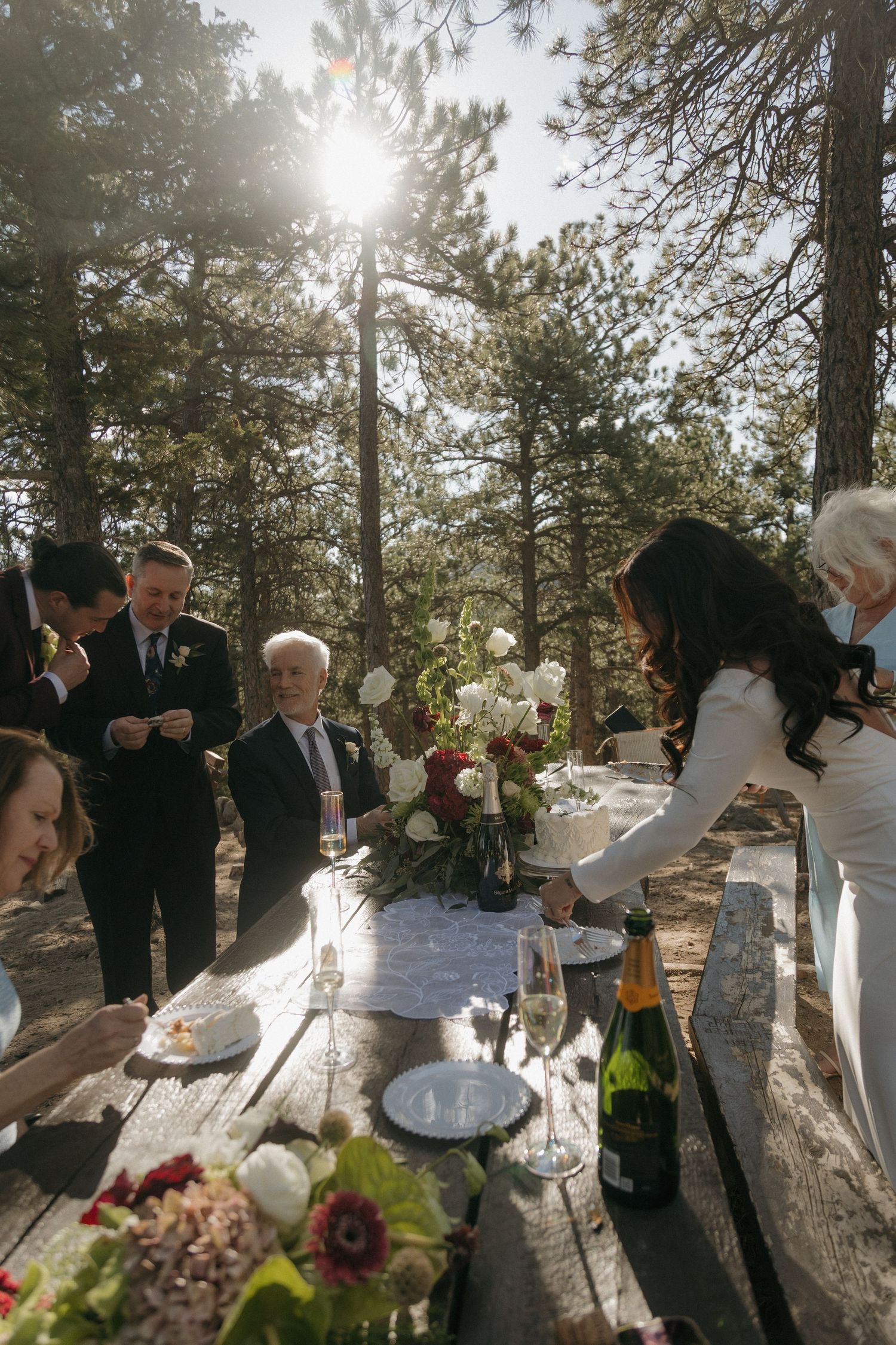 Guests gather outdoors at a sunny mountain wedding reception with picnic tables and pine trees in the background.