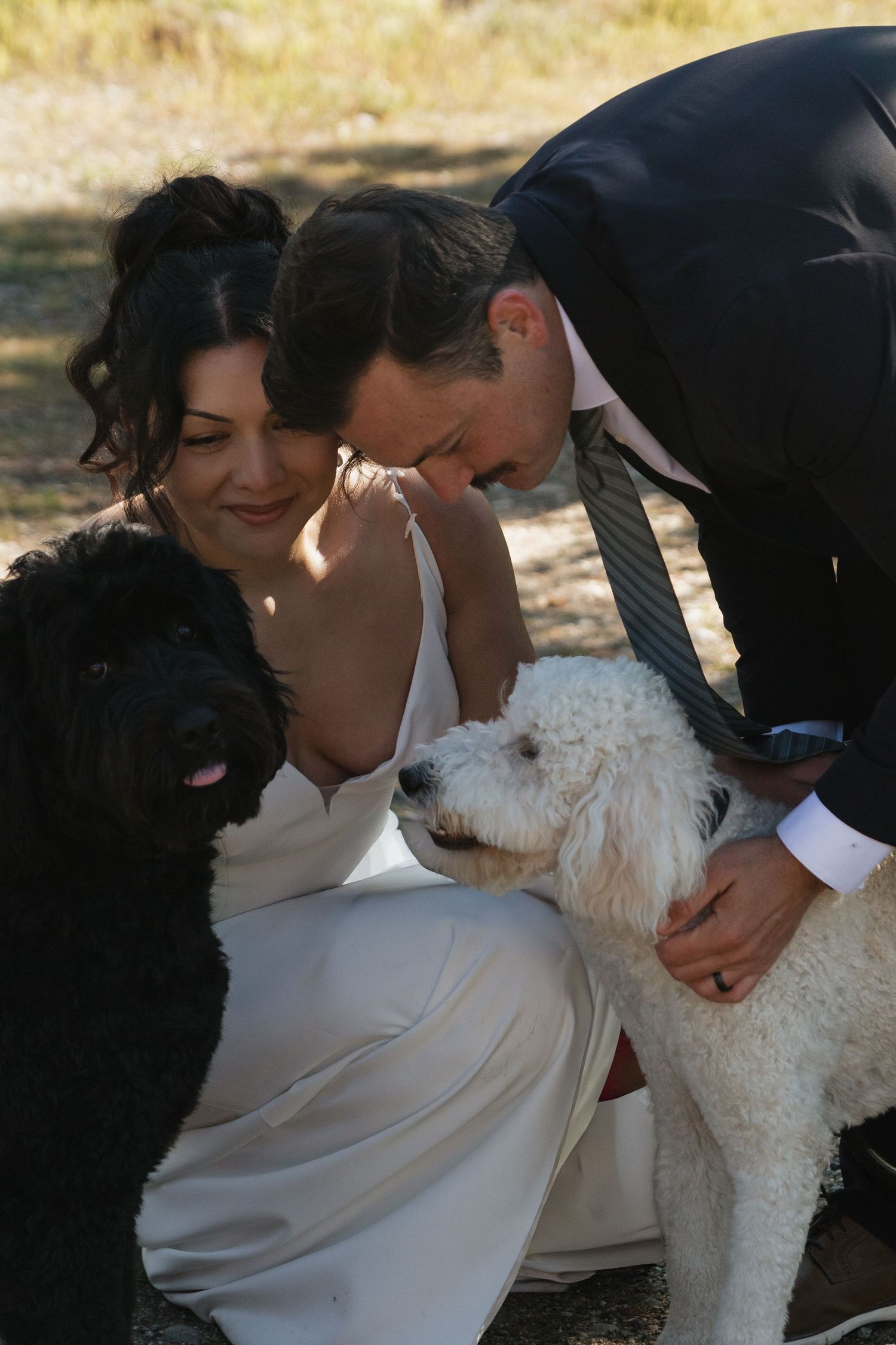 Couple in wedding attire playing with fluffy white dog outdoors.