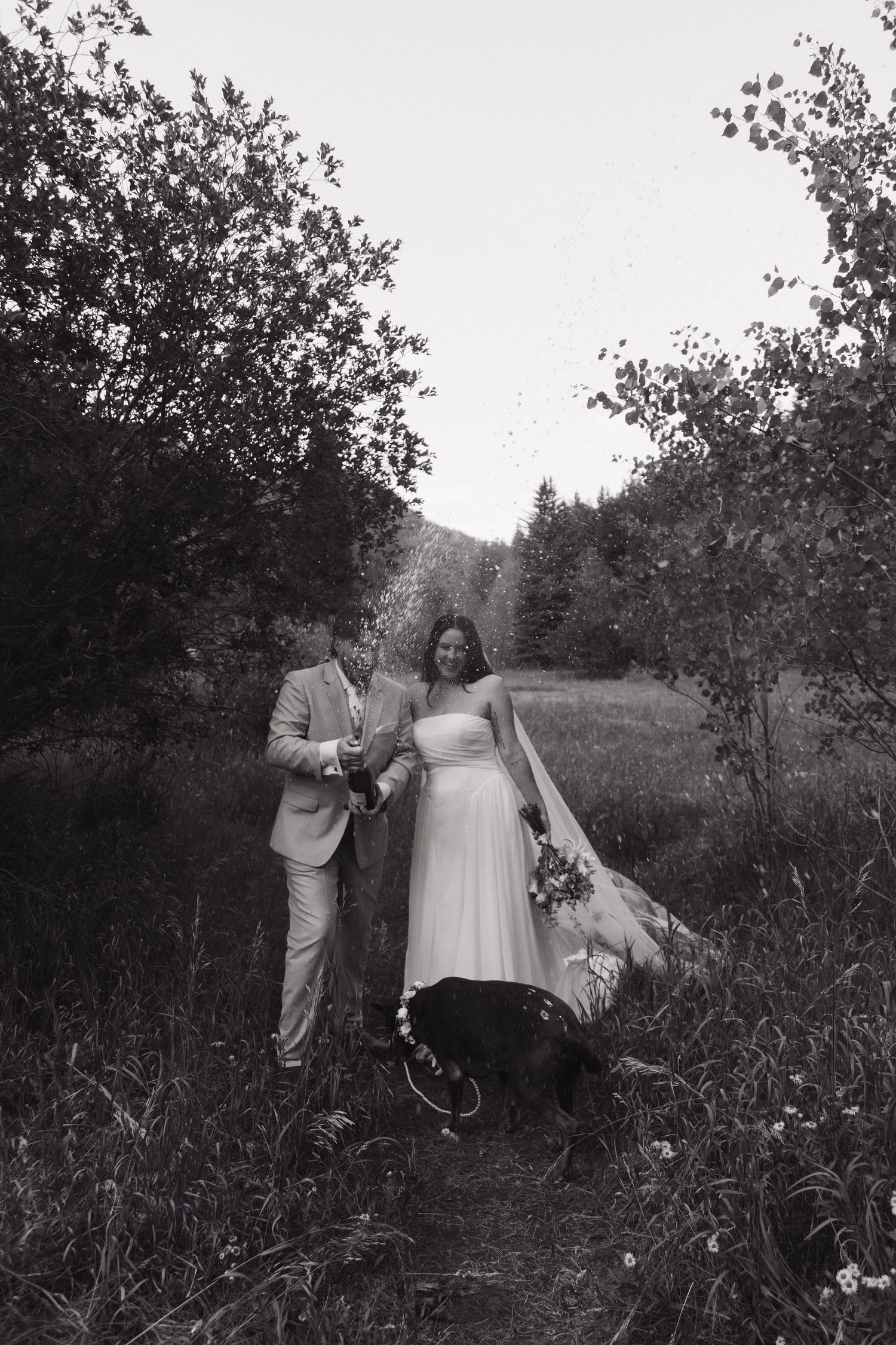 Black and white photo of bride and groom with dog on forest trail in wedding attire.