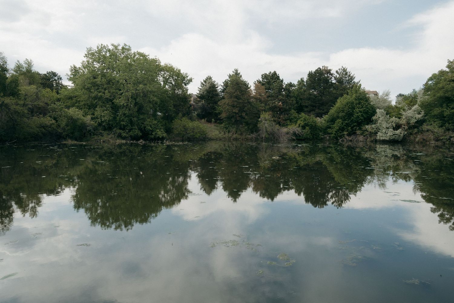 Serene lake reflecting lush green trees and cloudy sky in calm water.