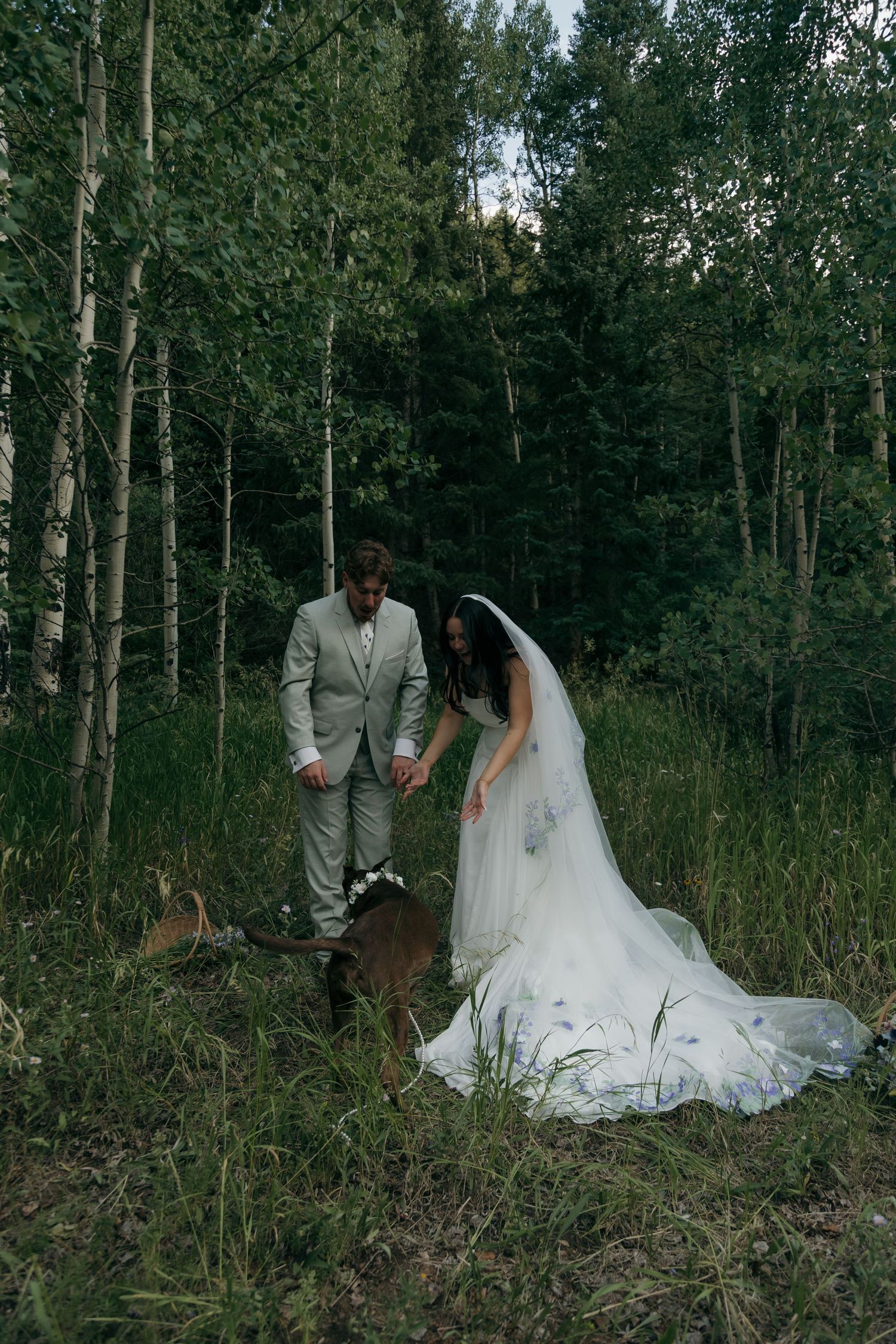 Bride in floral wedding gown and groom in grey suit pet their dog during forest wedding celebration.